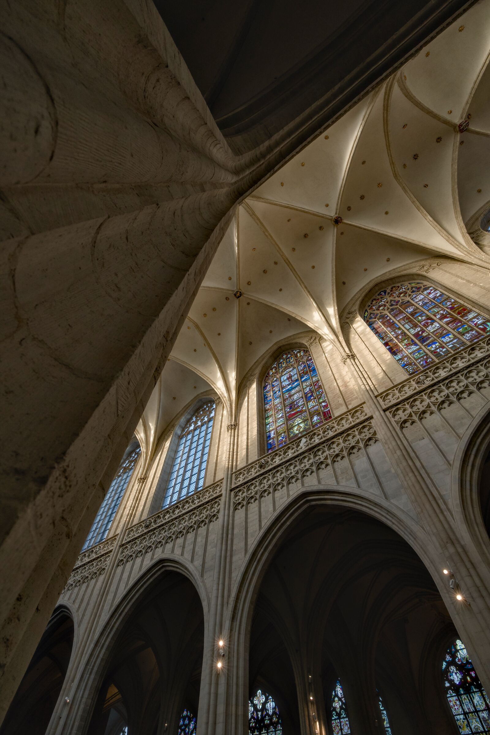 Cattedrale di Anversa