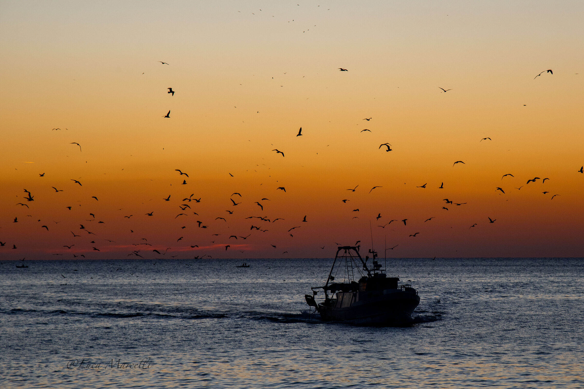 Return to Portici at sunset