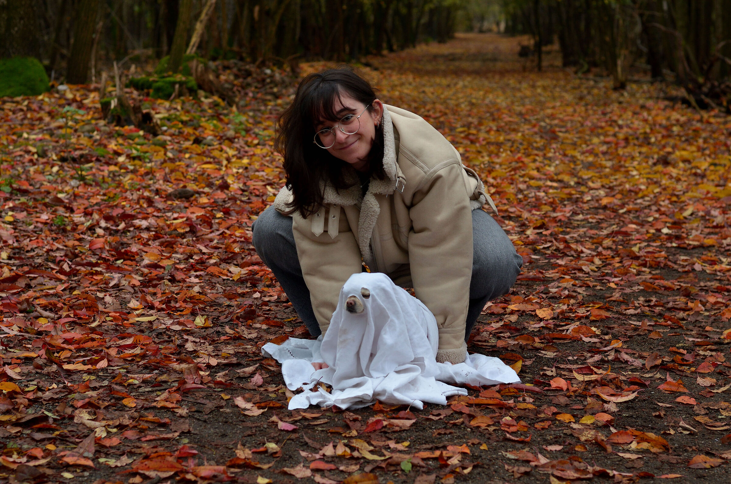 Polly, the sleepy ghost