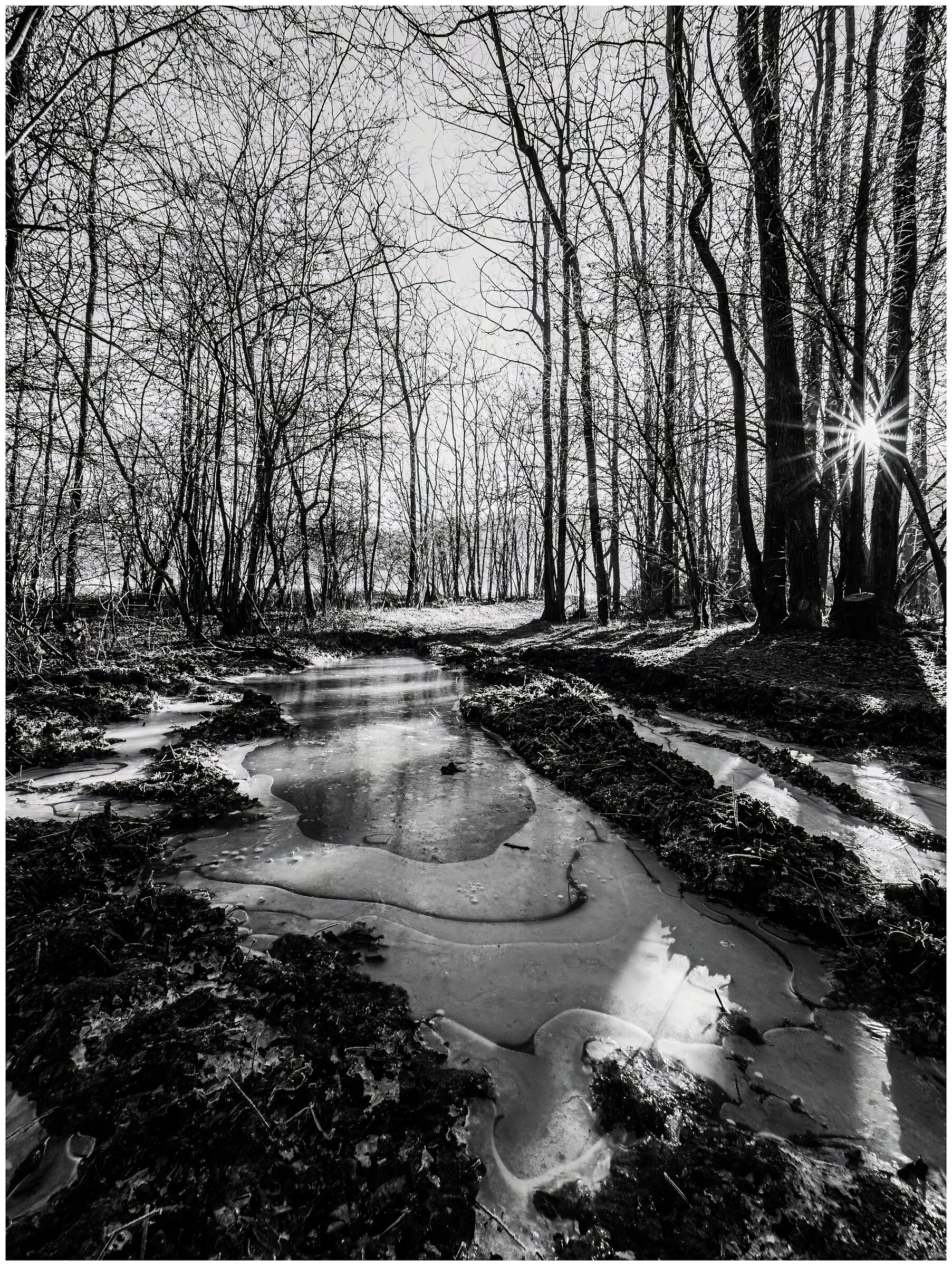 Mattinata sotto lo zero