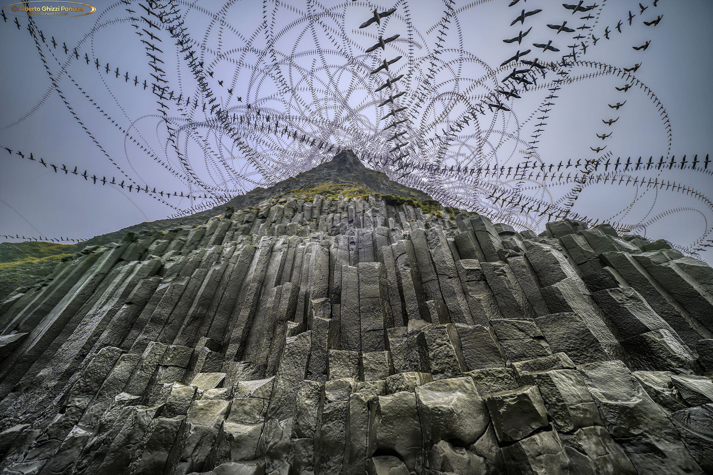 Gabbiani a Reynisdrangar