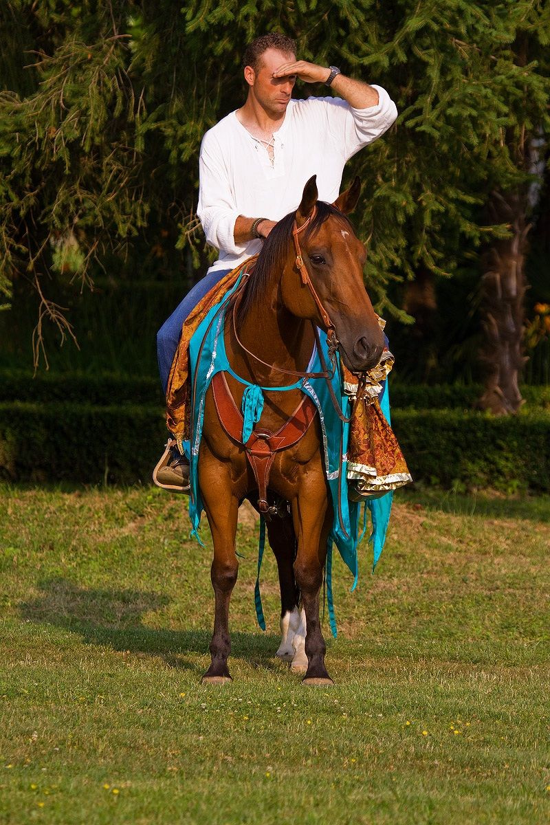Sfilata medievale dei rioni di Maggiora (no)