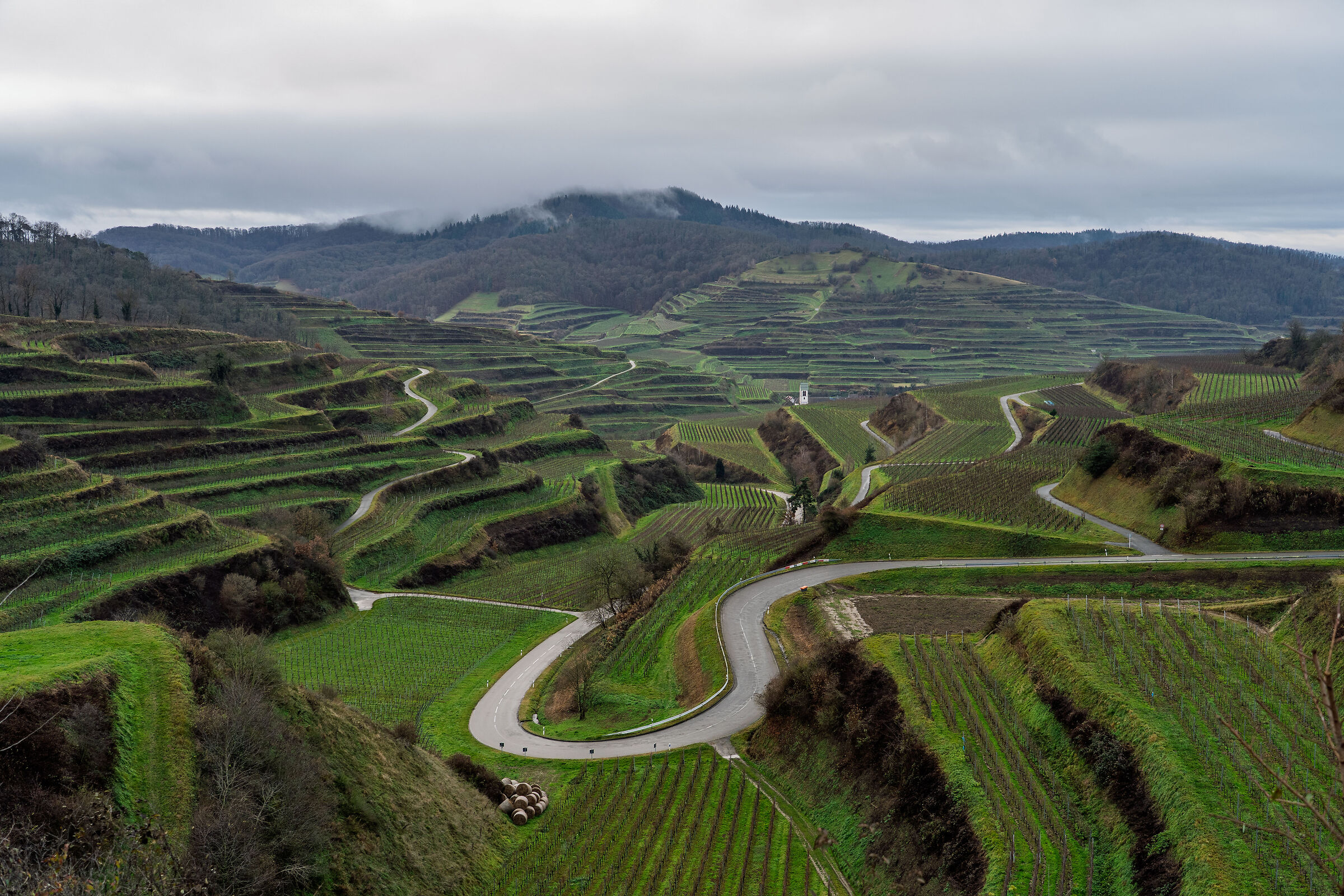 The vineyards of the Kaiserstuhl