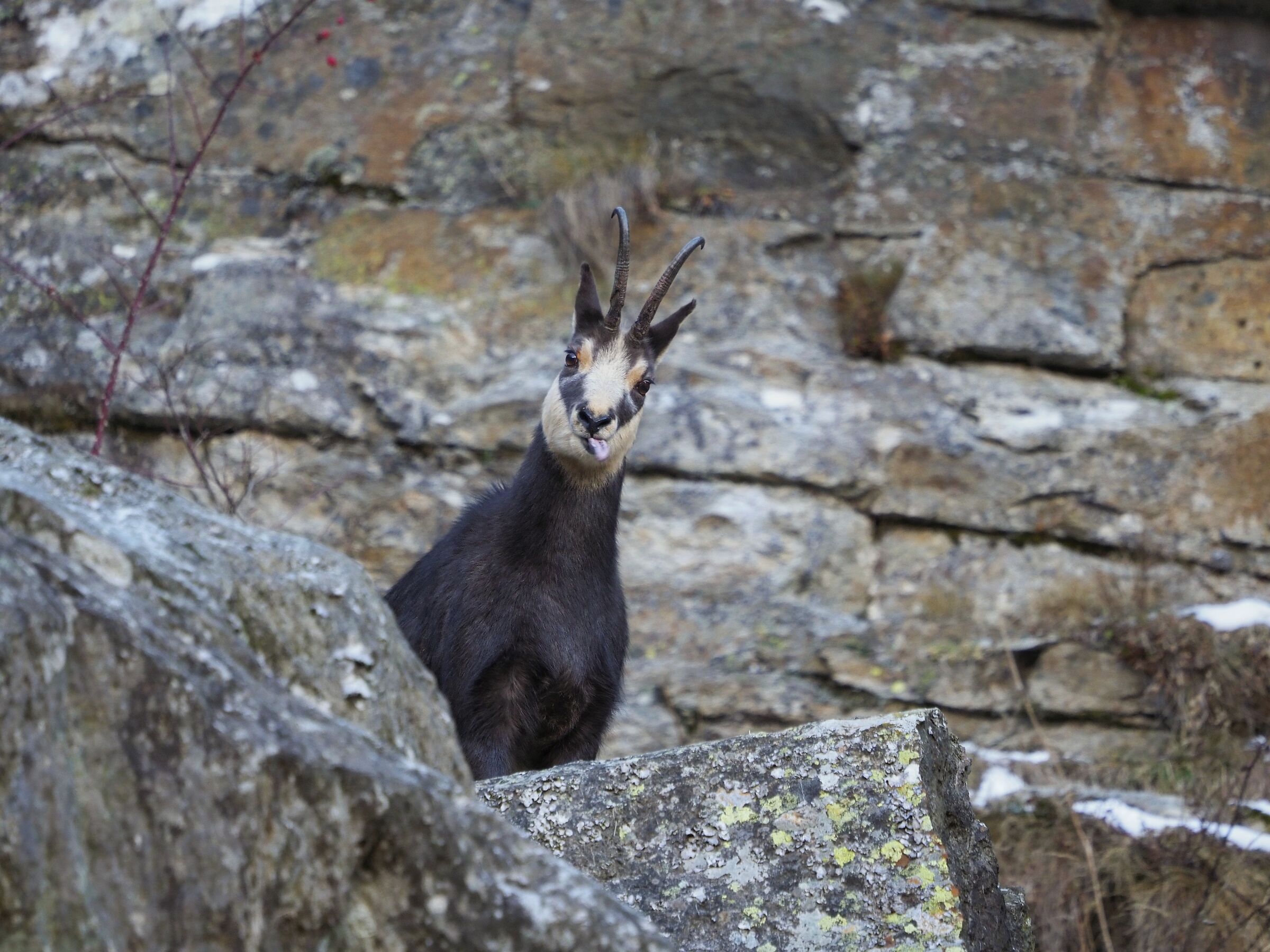 Among the rocks