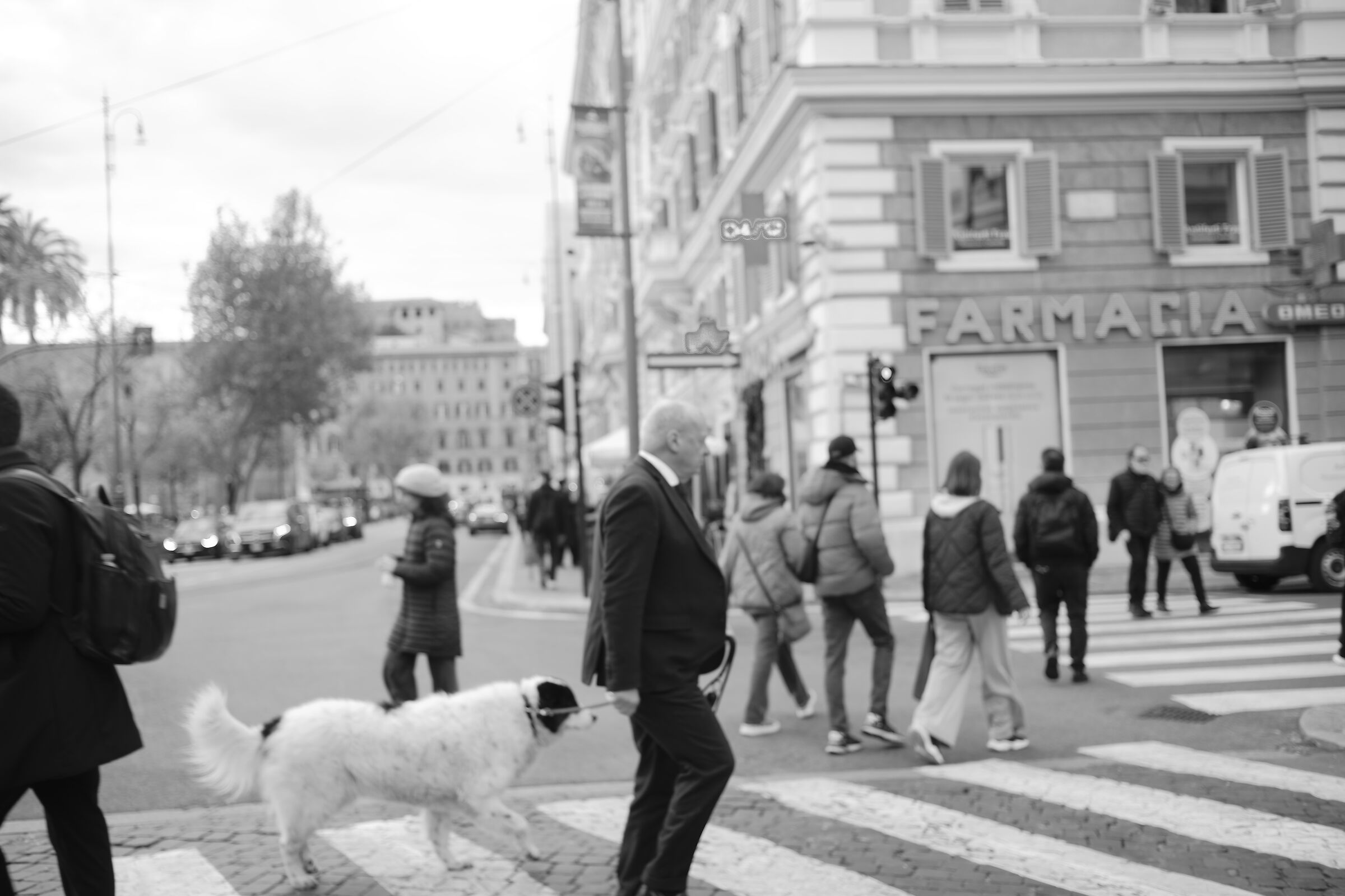 Untitled Photo