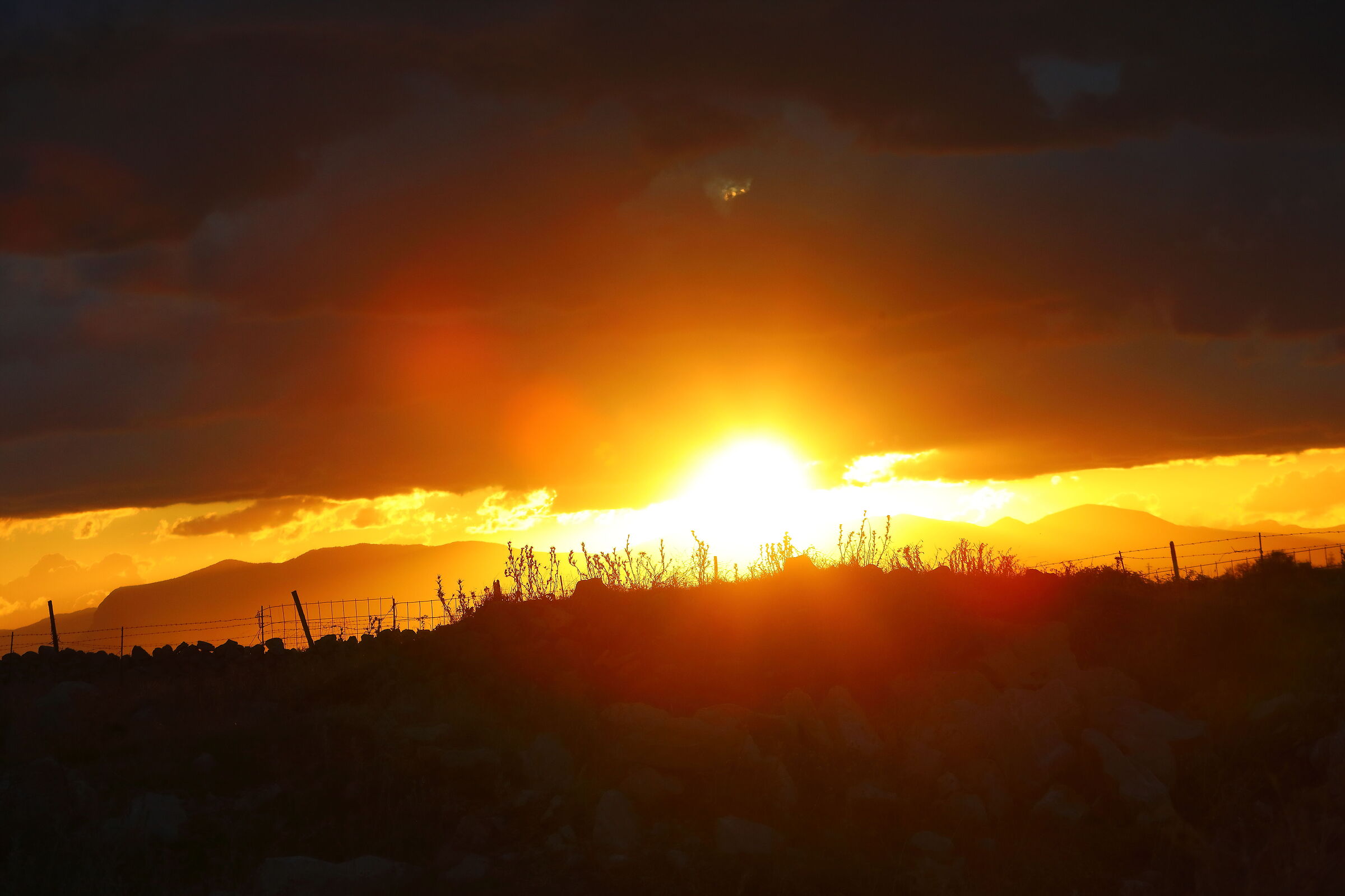 e' l' alba 07 ottobte 2025 - 0393