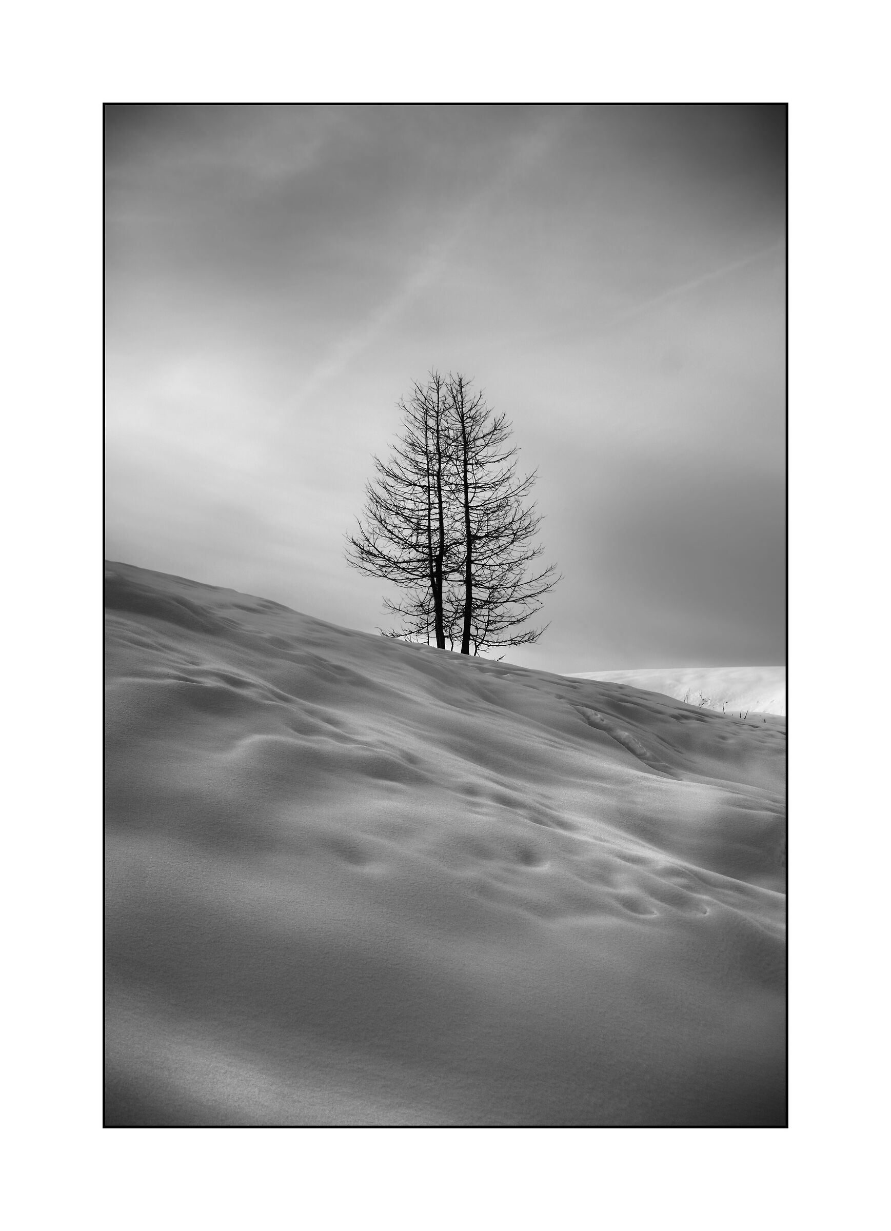 Il solitario