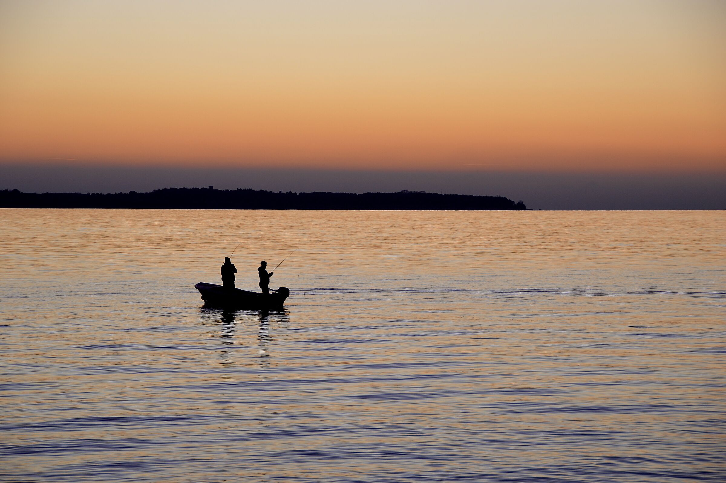 Getta le tue reti…buona pesca ci sarà …..
