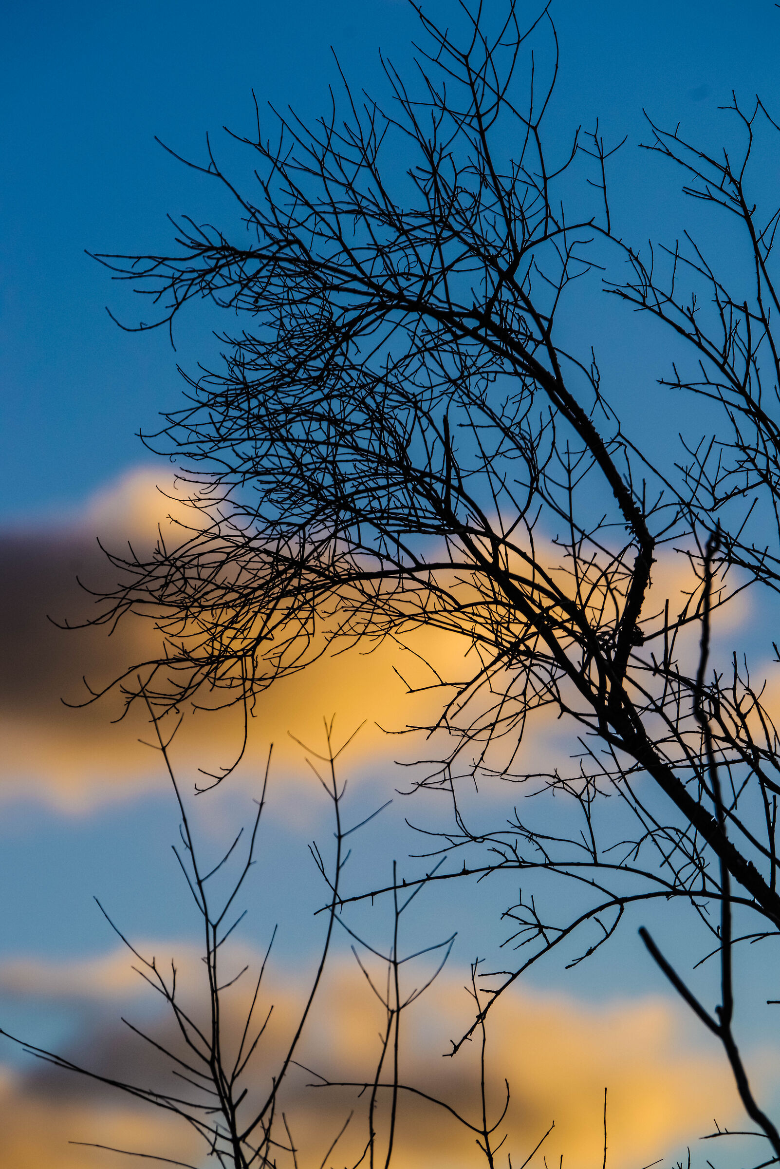 Towards the last sunset of 2025