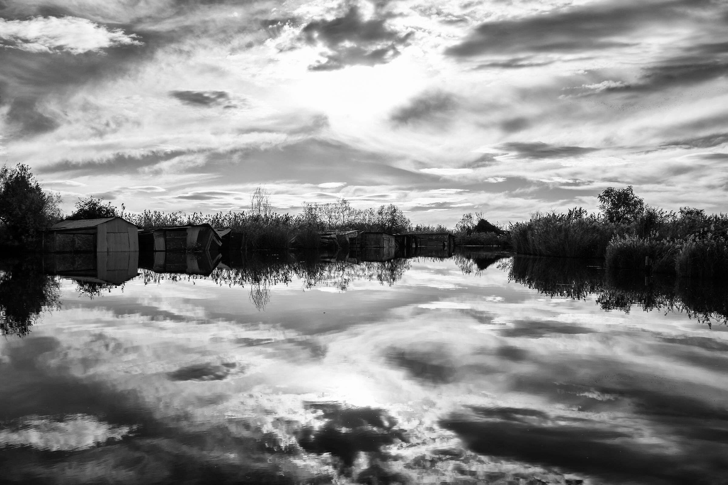 Lake Massaciuccoli bn