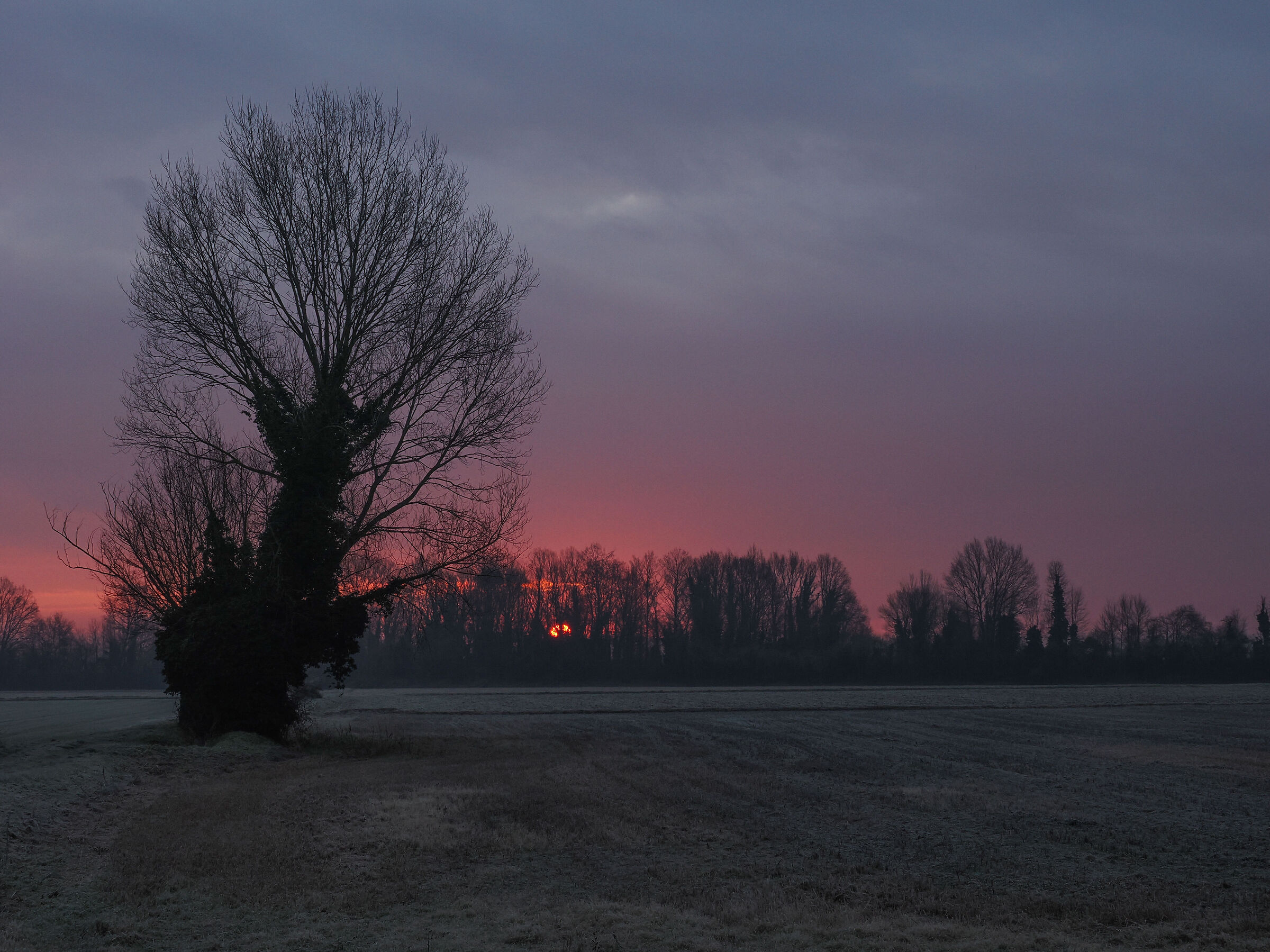 La prima fredda alba dell'anno