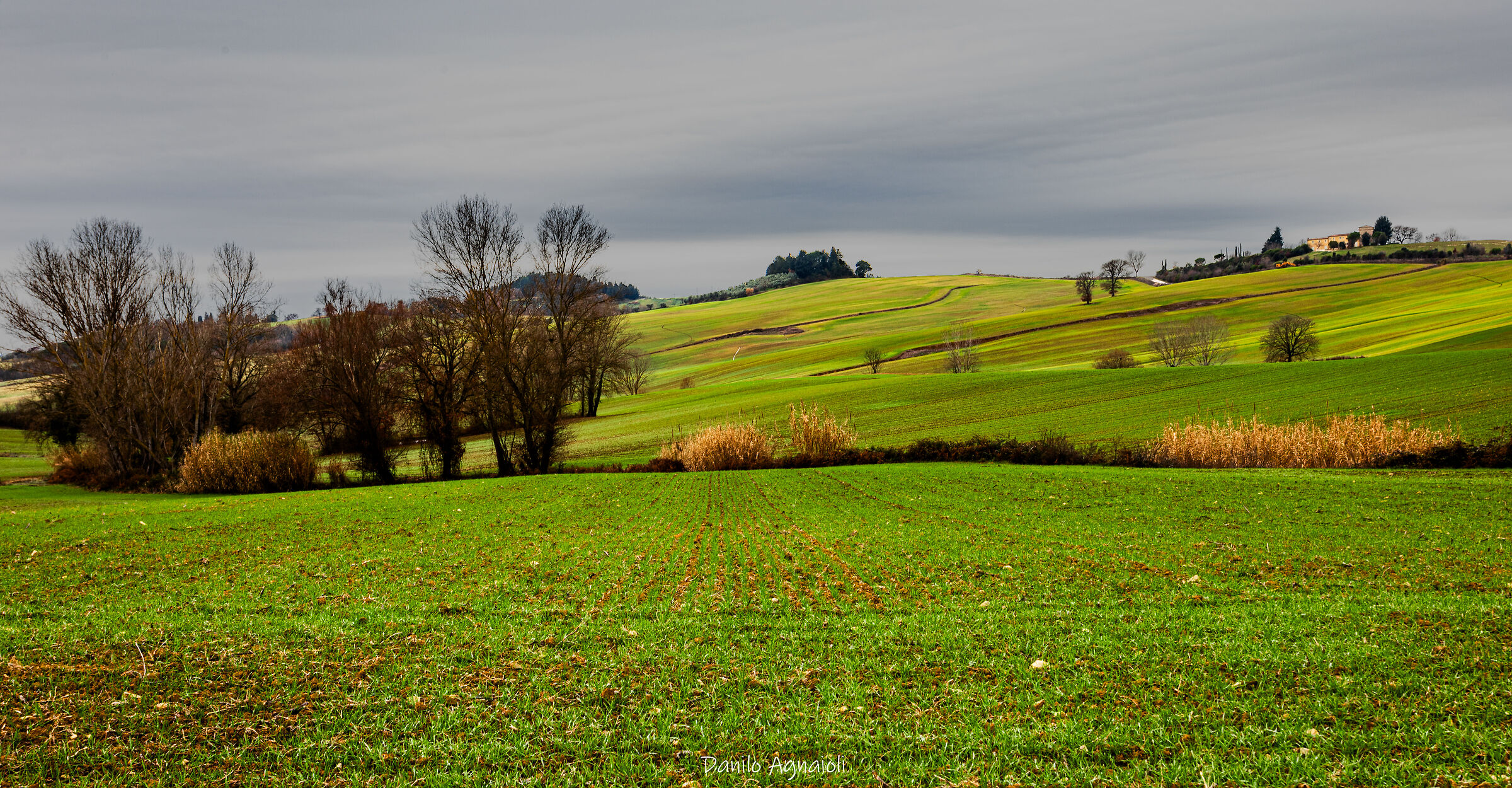 All in the silence of nature
