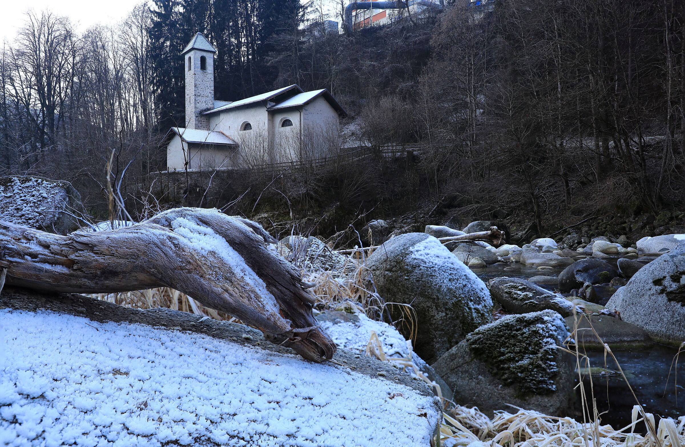 Un Drago a S.Vigilio....