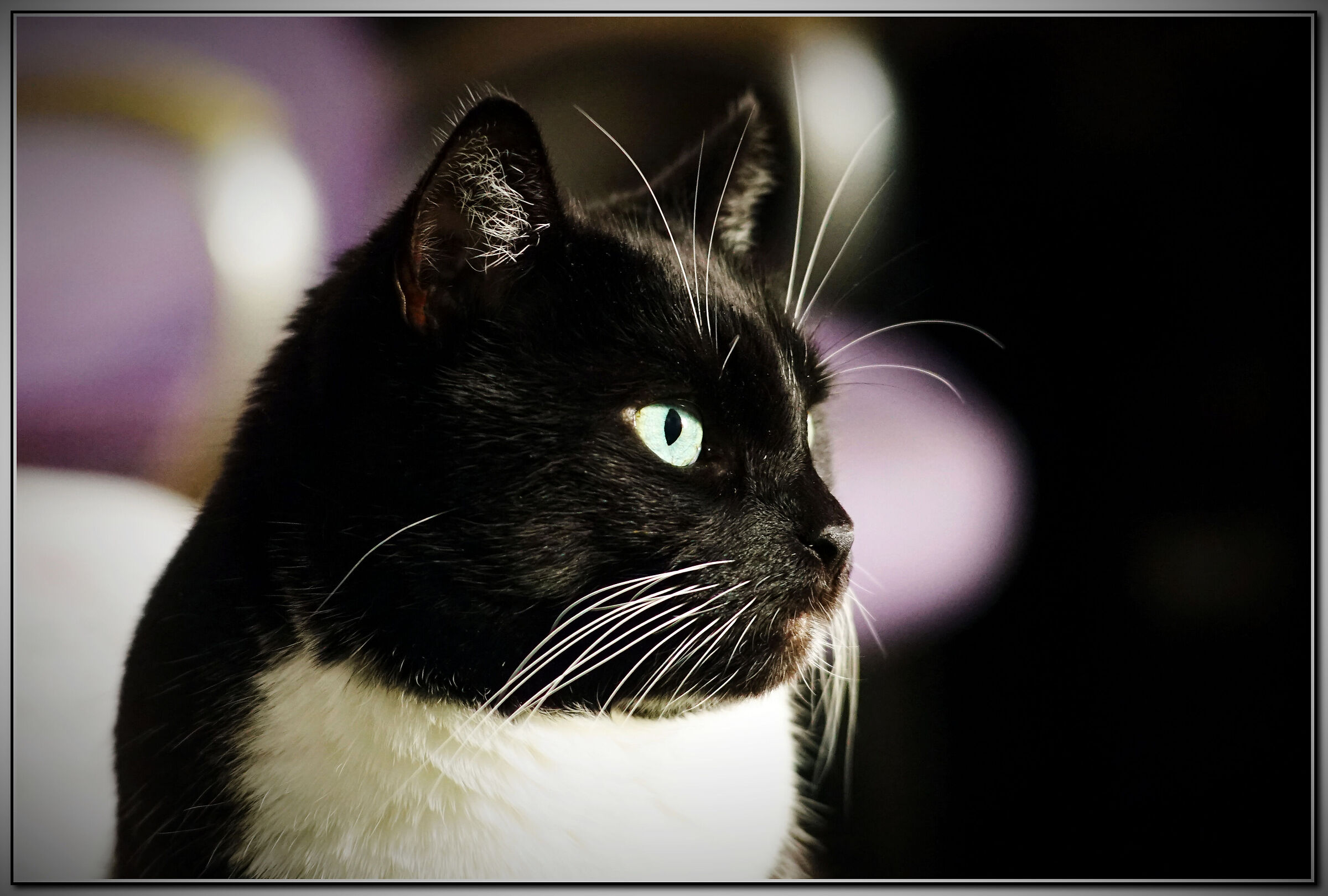 2026 and I don't see any changes...