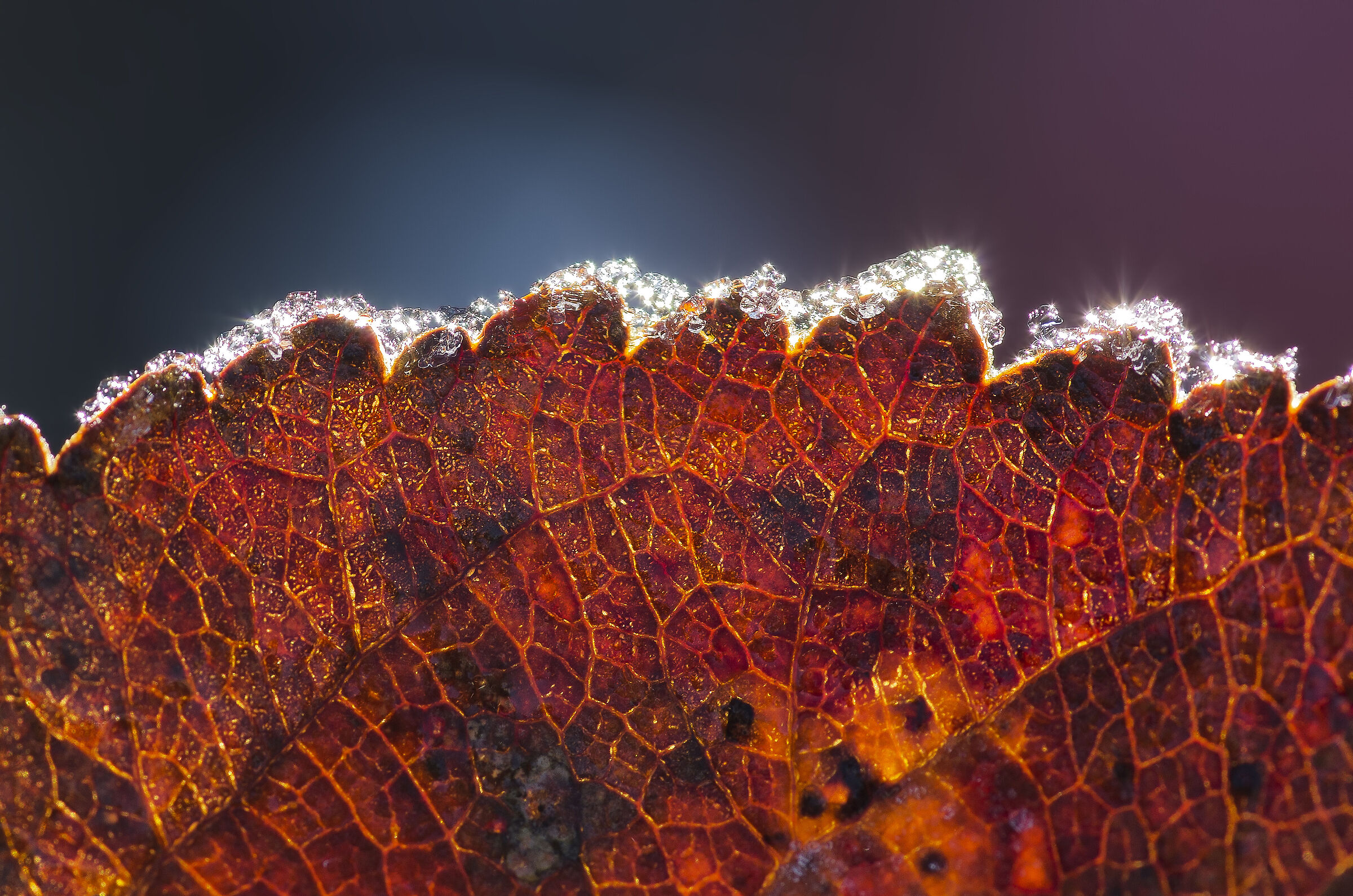 Contorno di brina