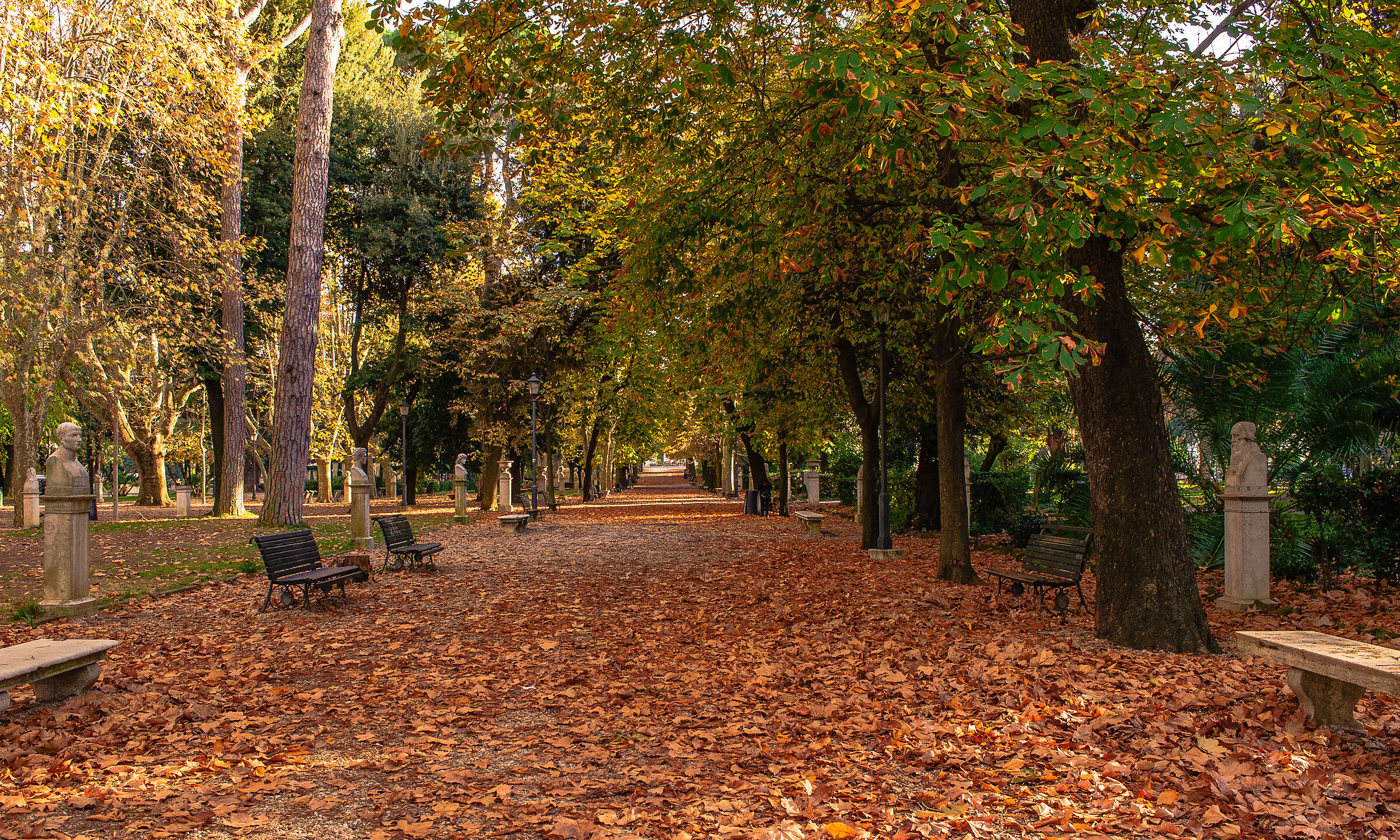 Viale del.....tramonto!