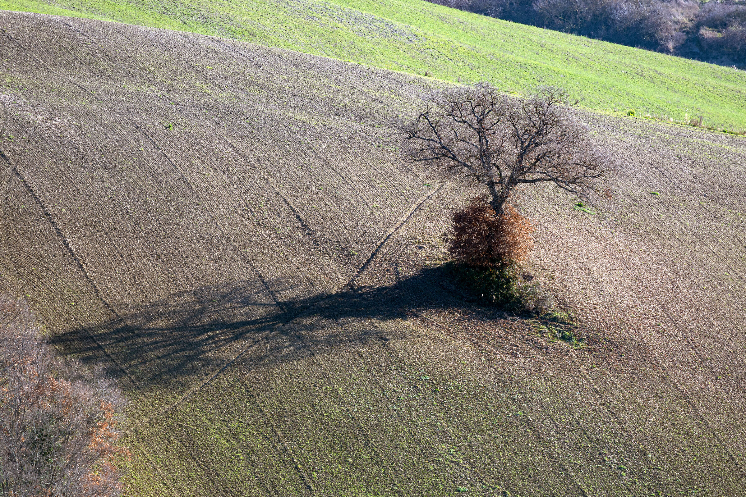 Val d'Orcia
