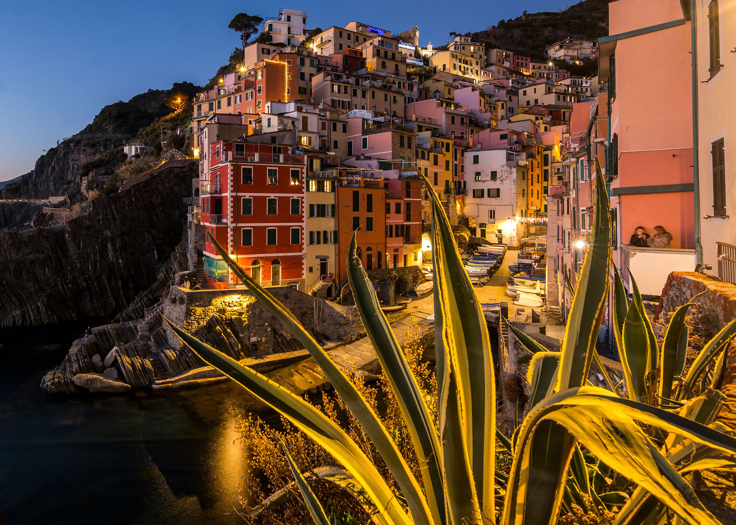 Riomaggiore e l'agave