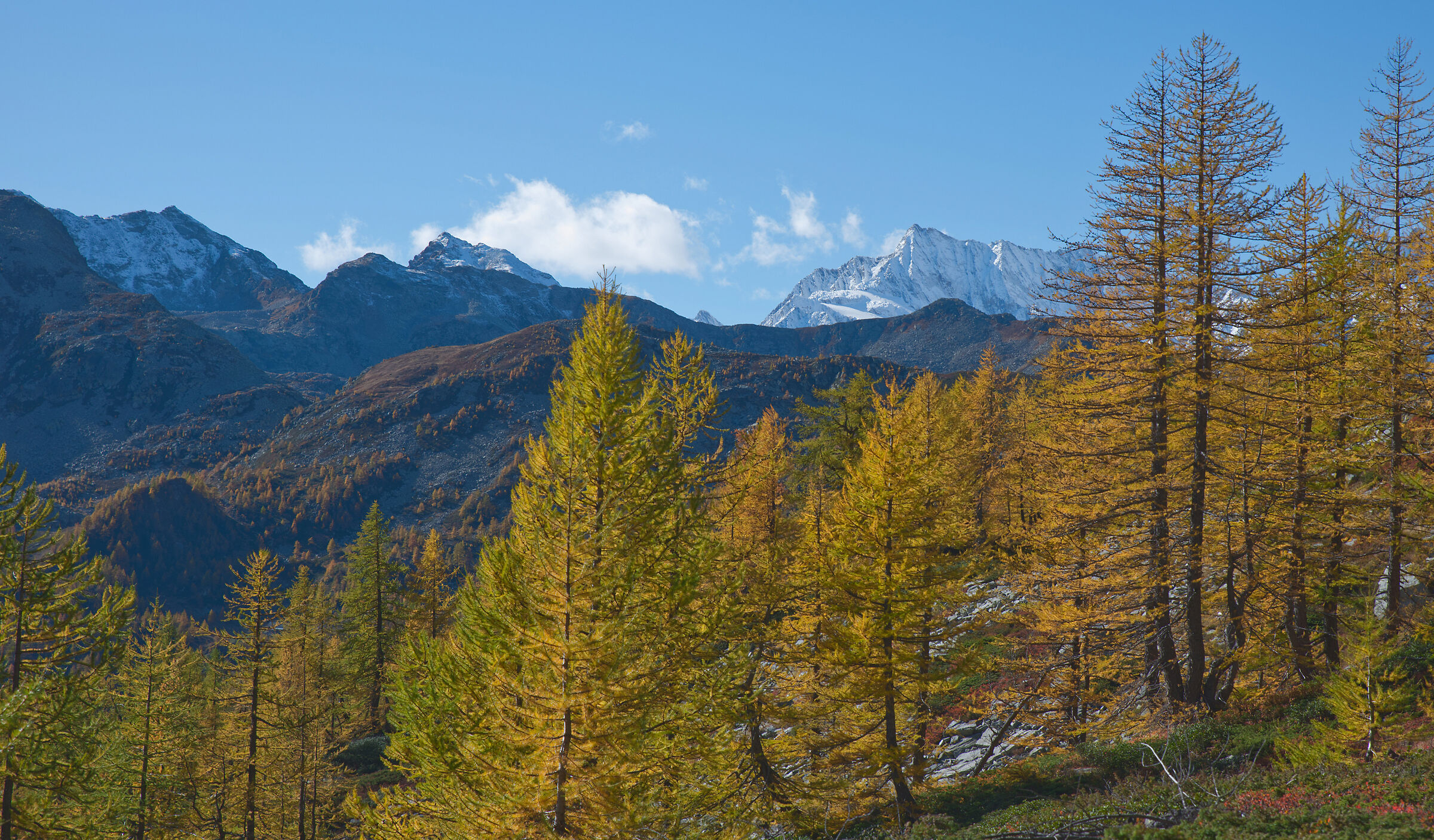 Alta Val Bognanco - the colours of autumn