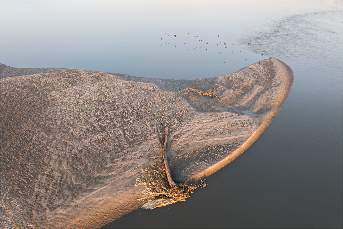 Slender of Fish