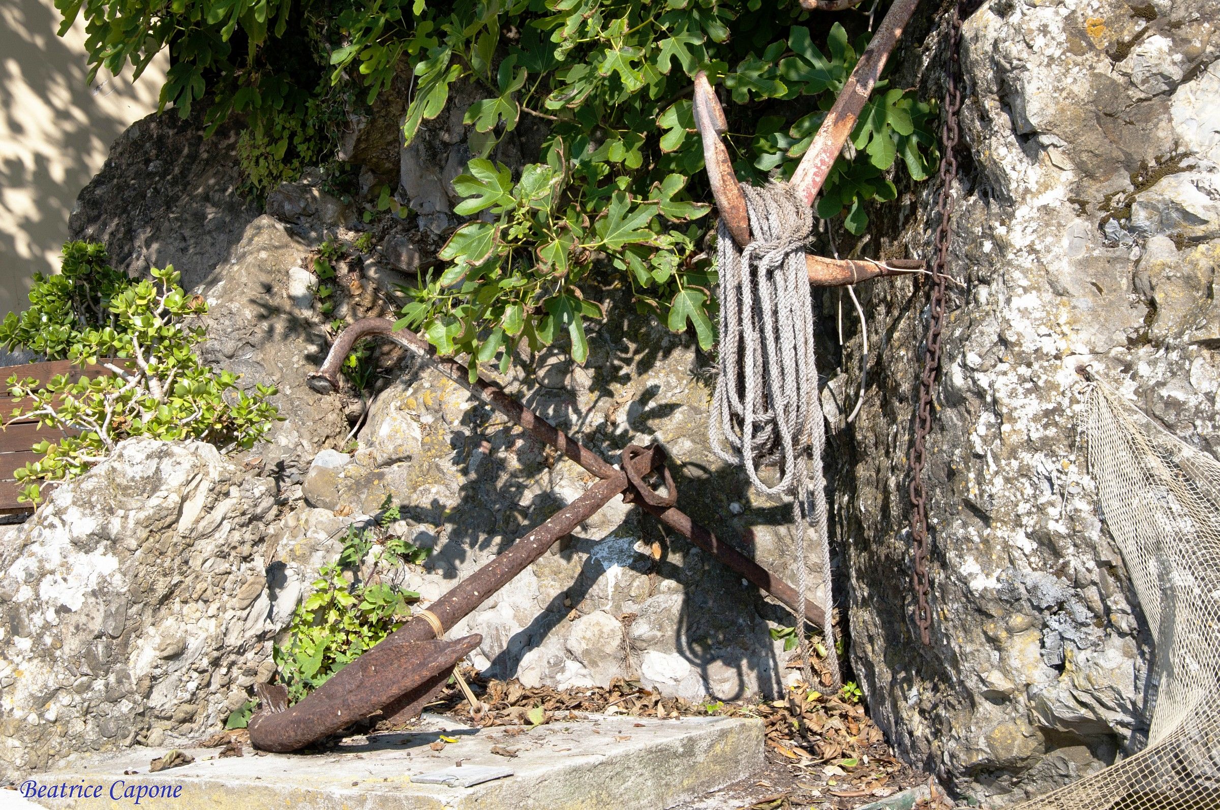 Attrezzi....del tempo che fu