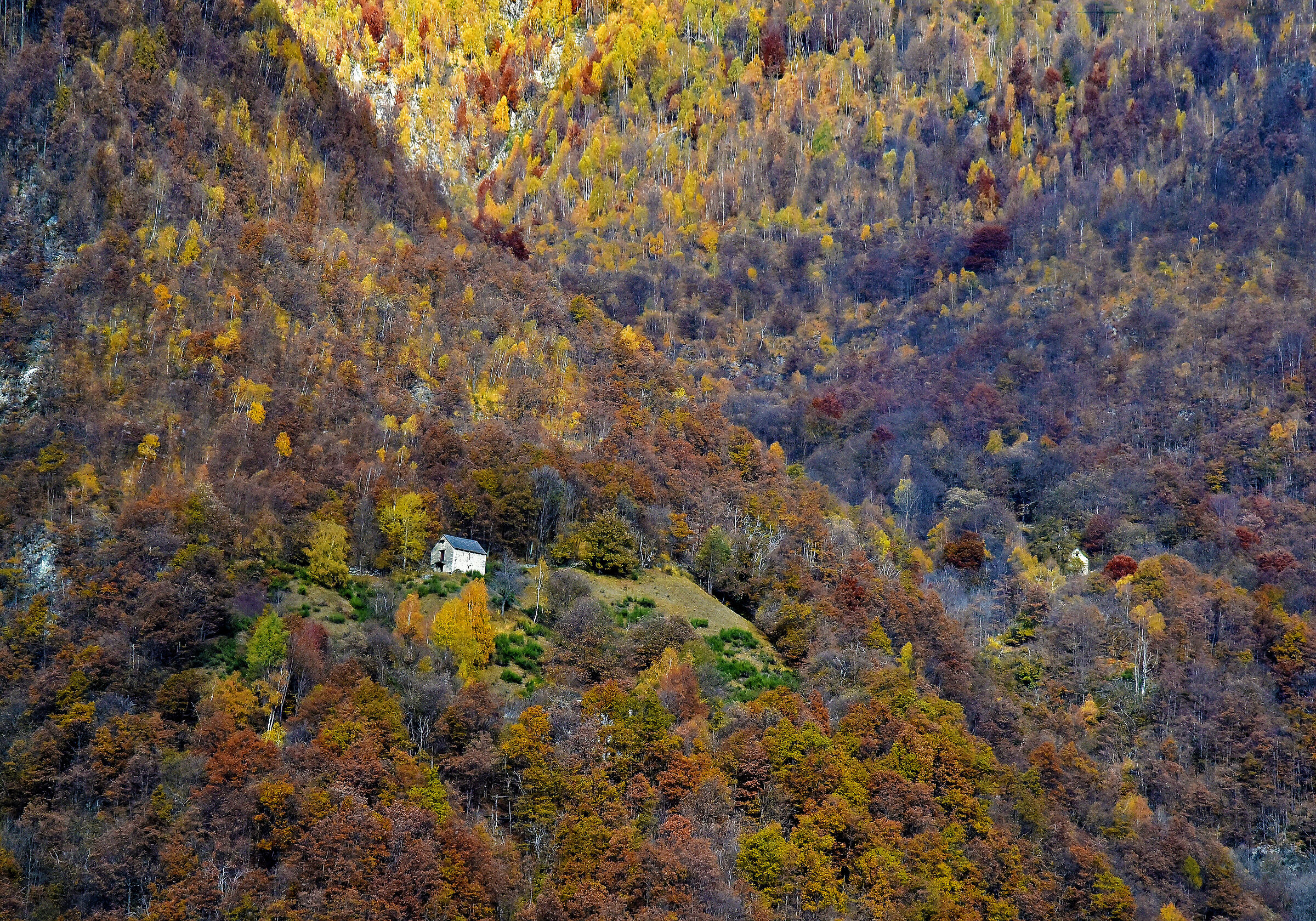 centoValli