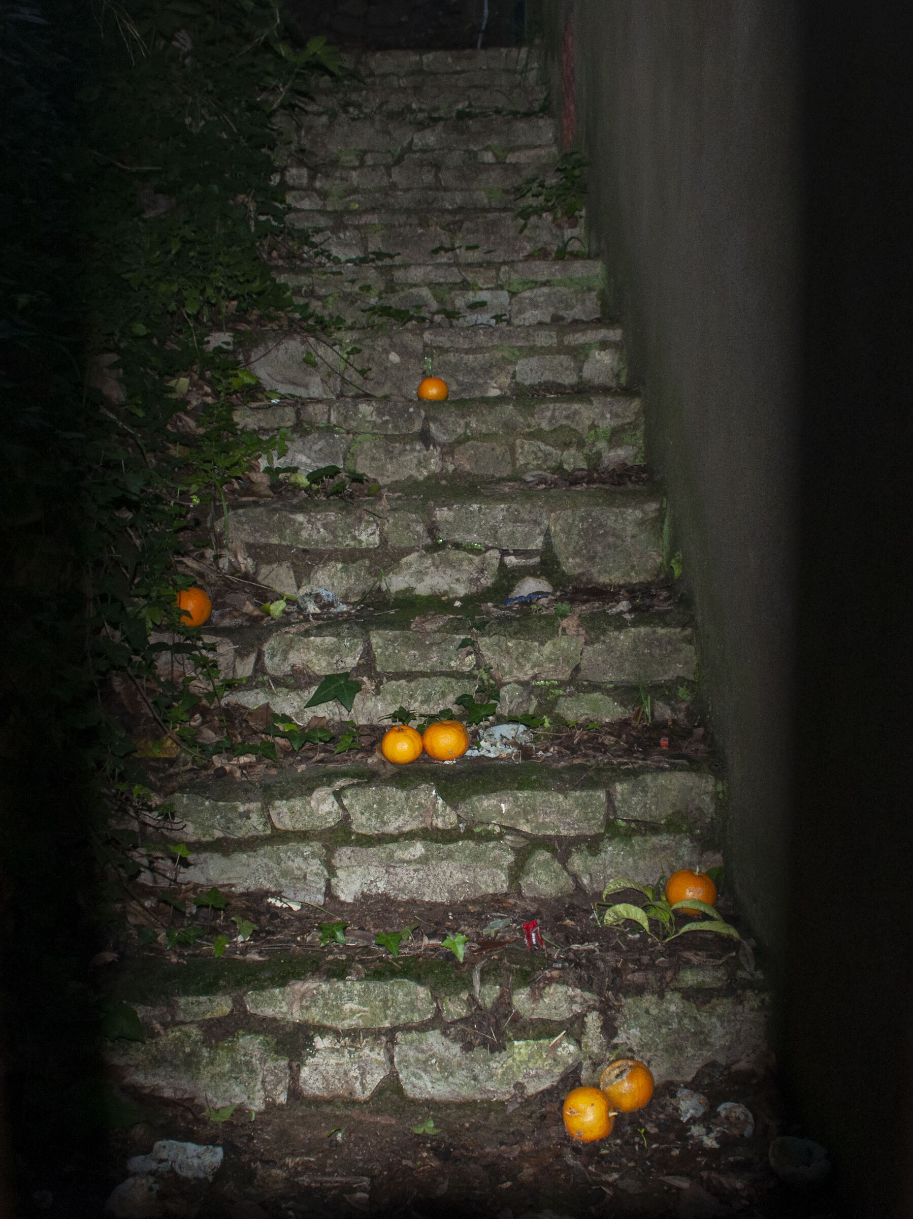 Scales and oranges