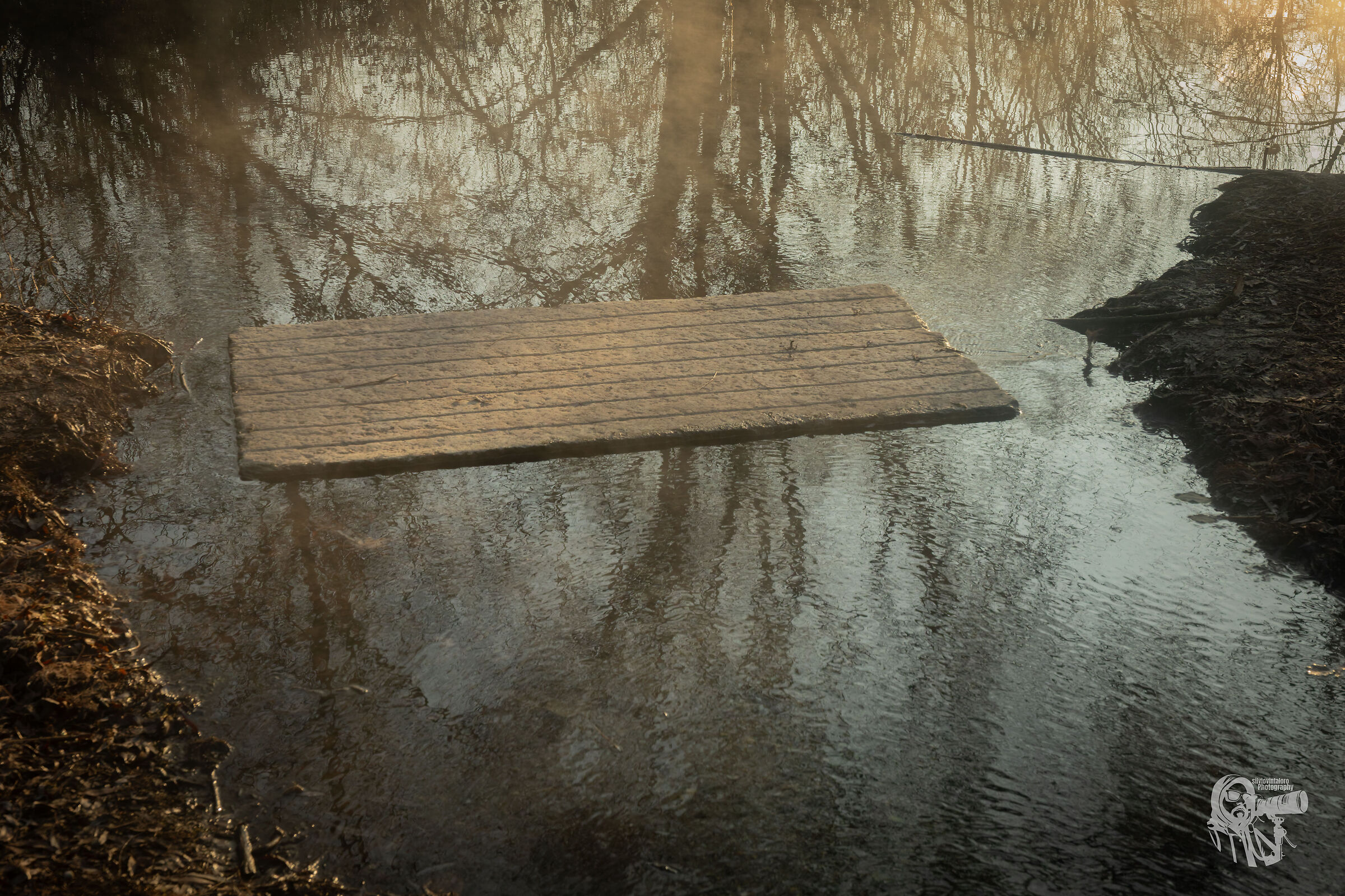 Pond - Parco Colonnetti, Turin