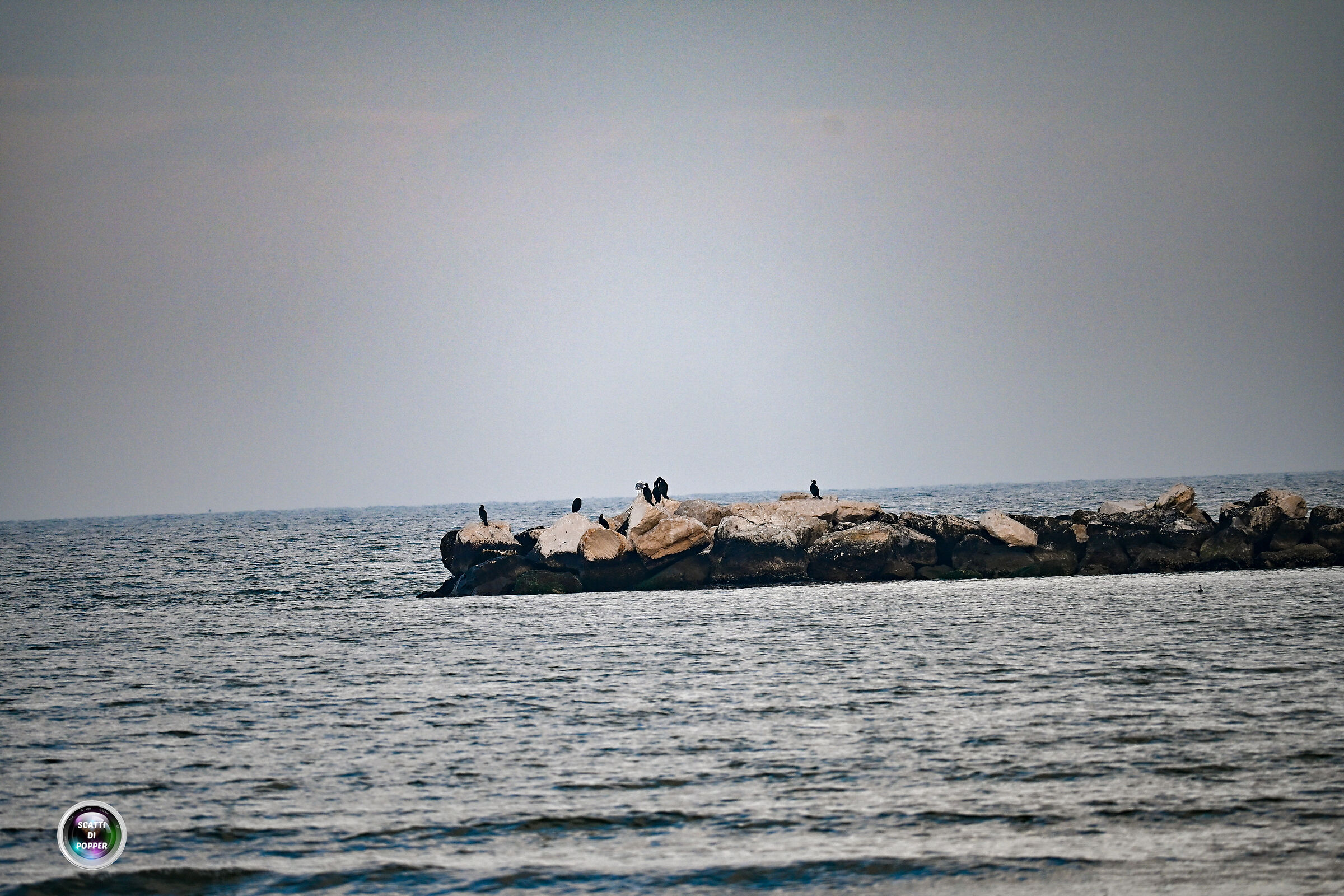 Sea