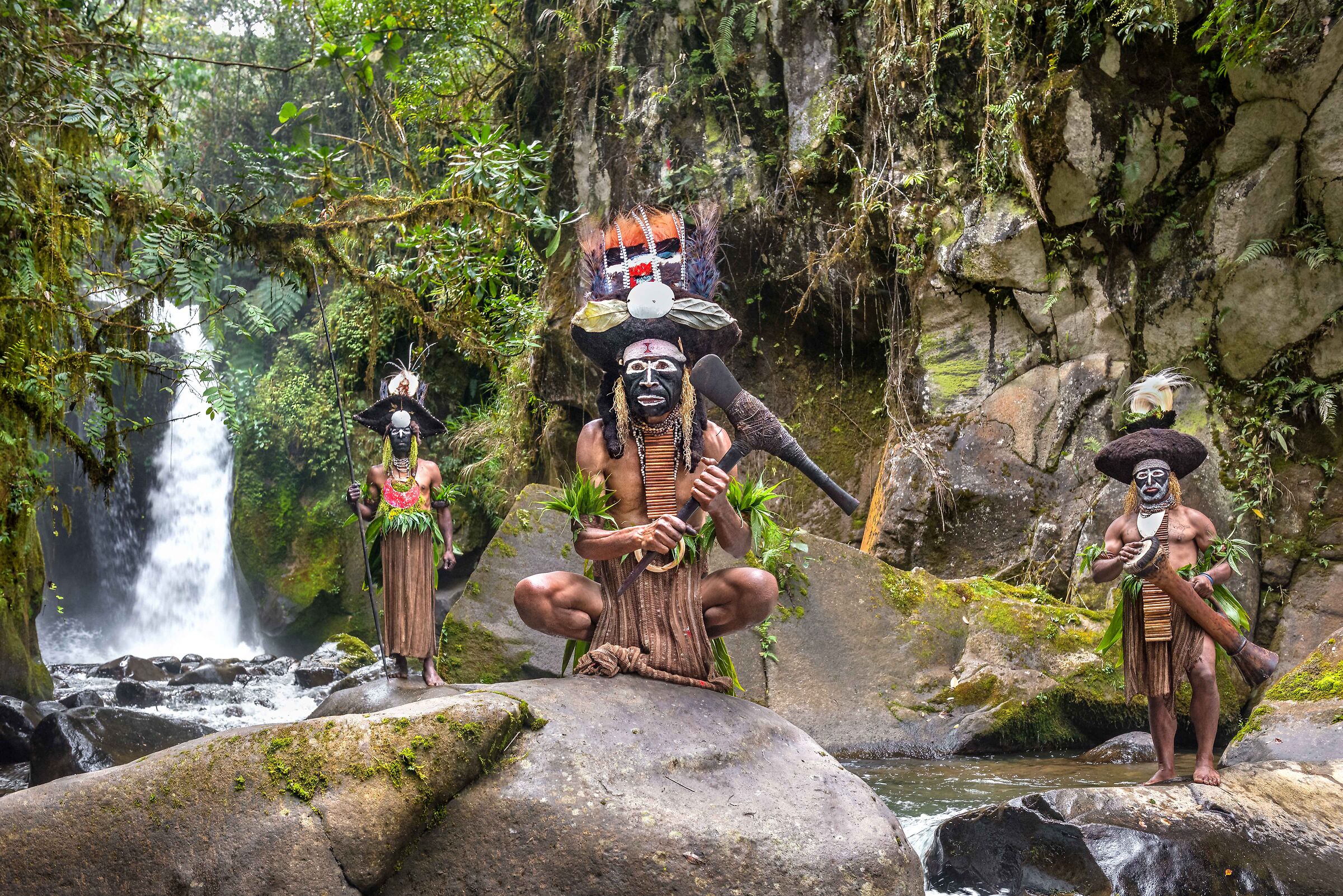 The Keepers of the Forest