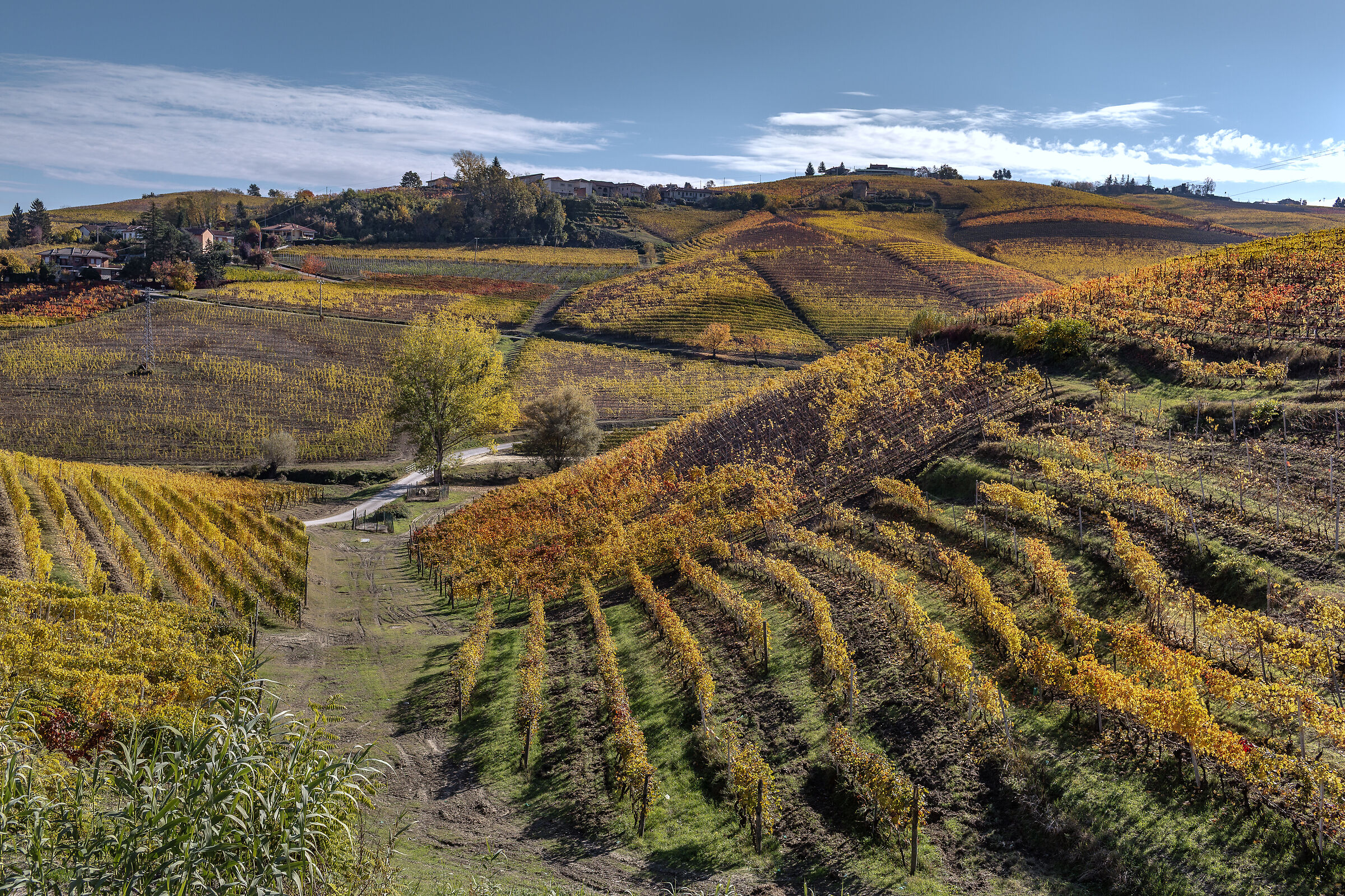 Autunno nelle langhe