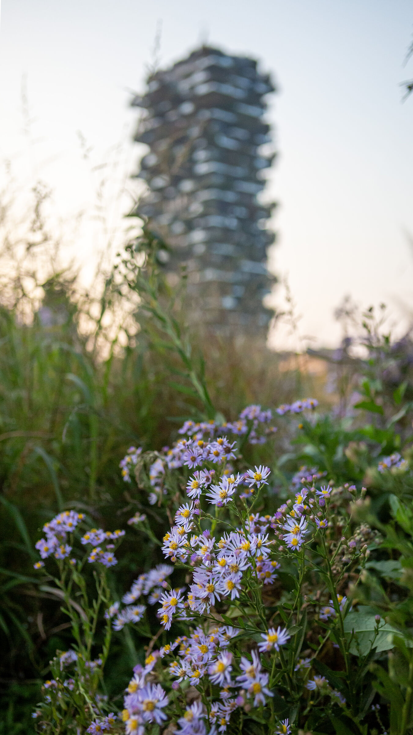 Bosco Verticale - Milan