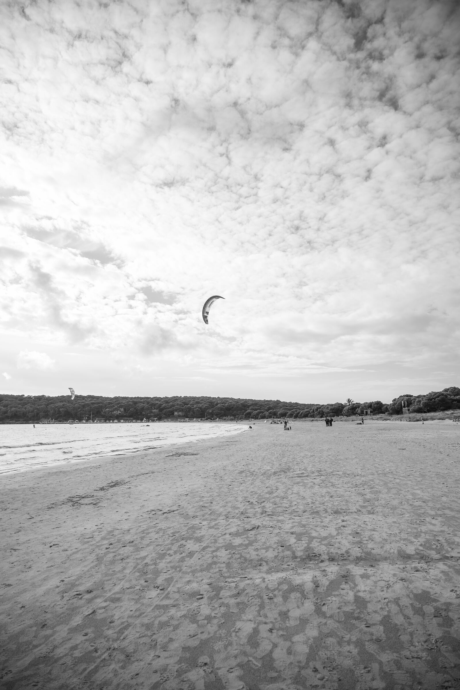 Untitled Photo