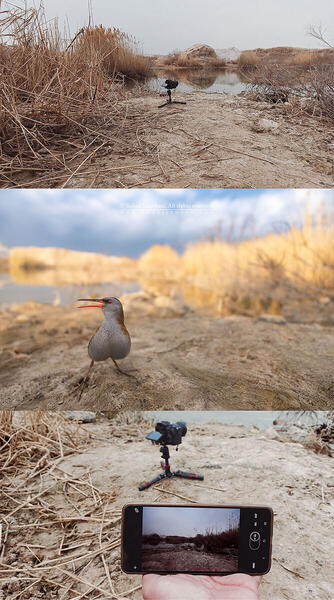 Foto