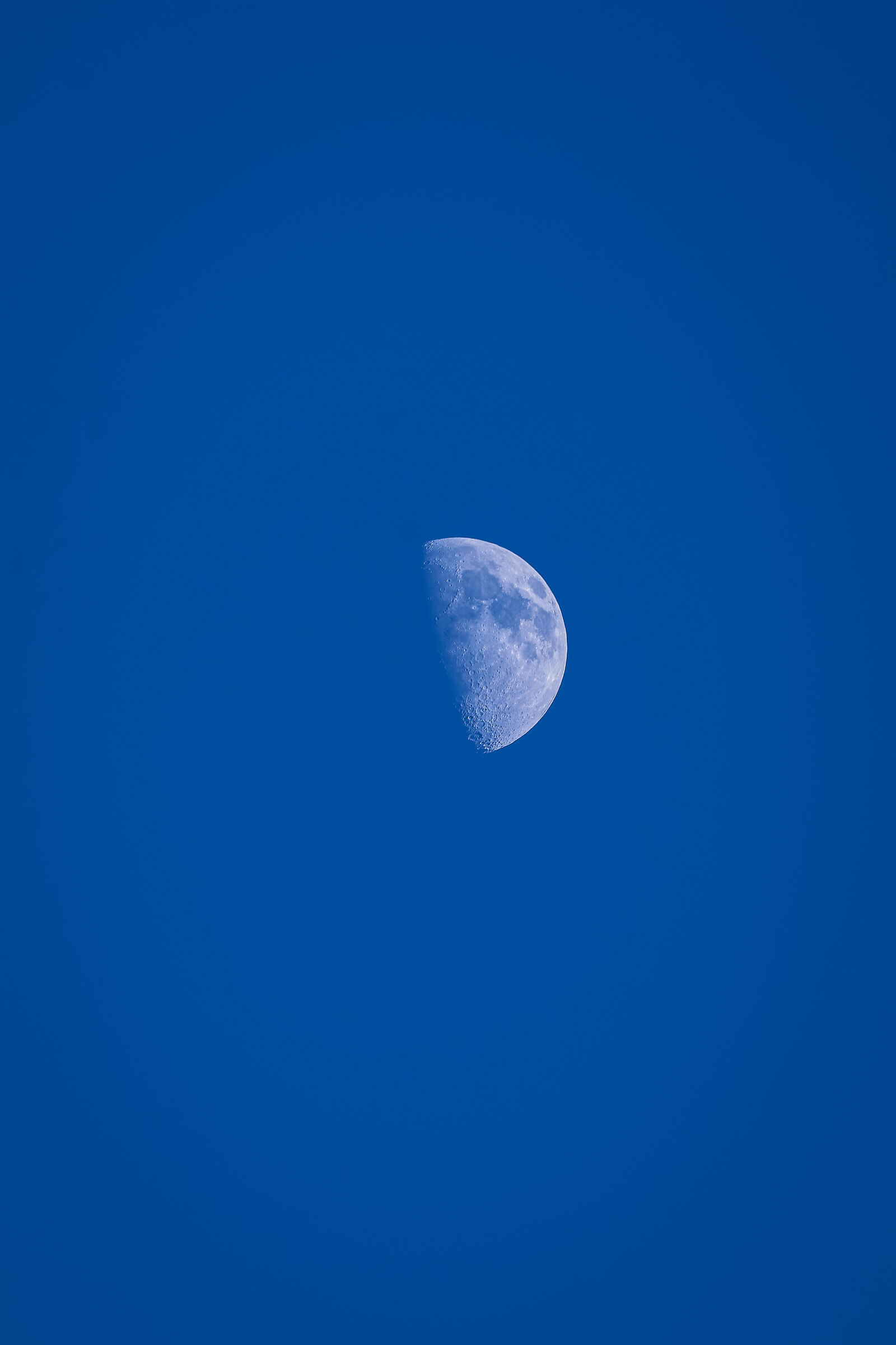Luna giornaliera