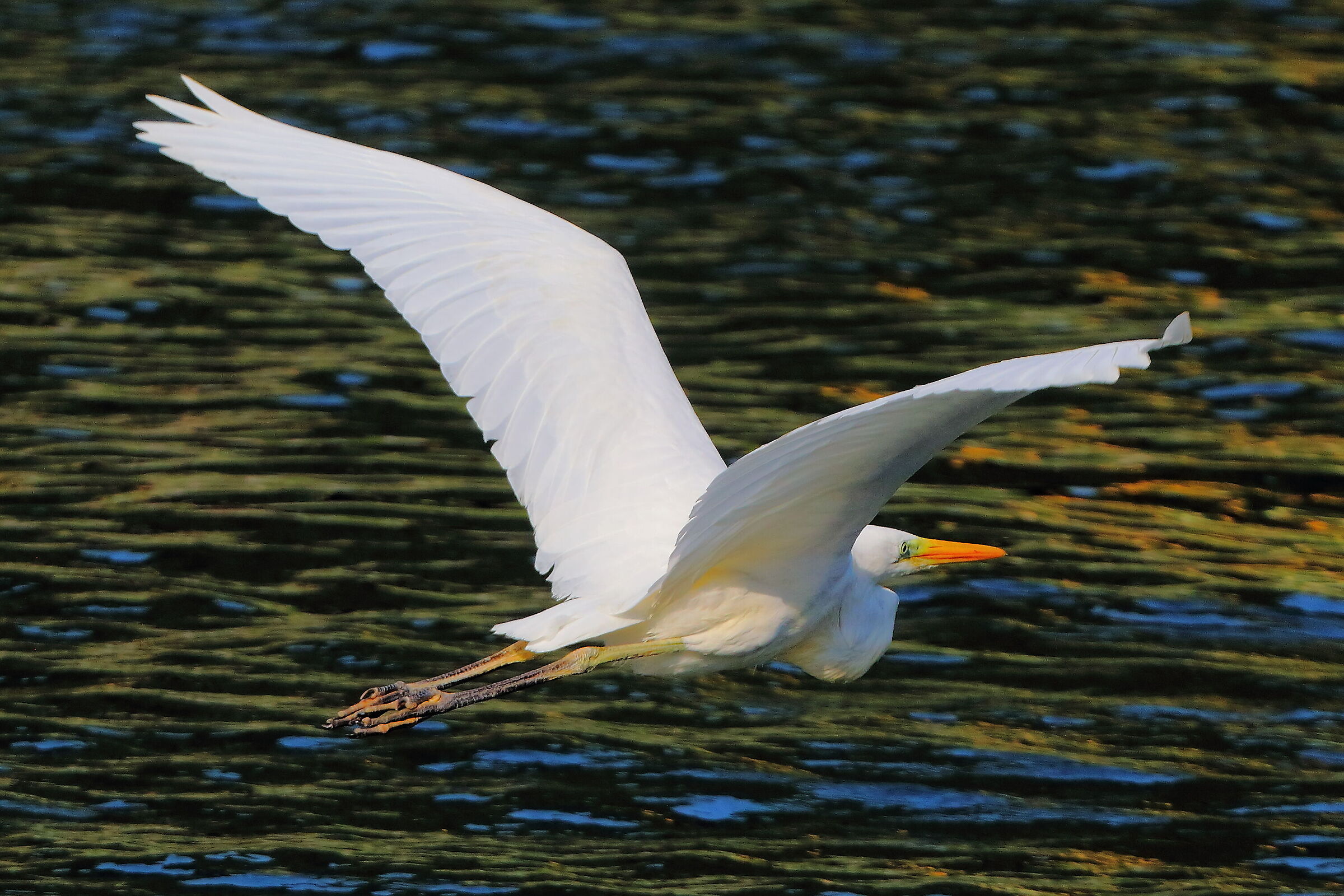 ABM Agosto 2025 - 0056