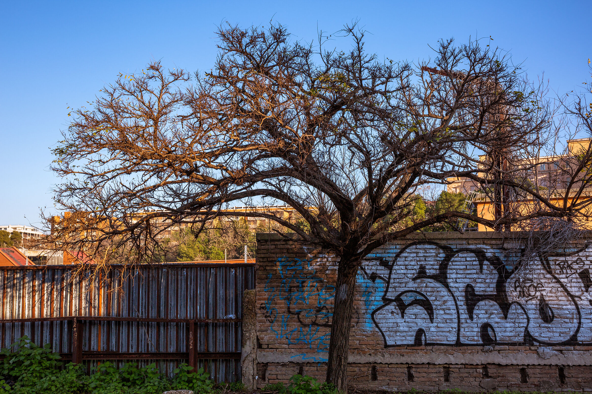 They're rekindling memories