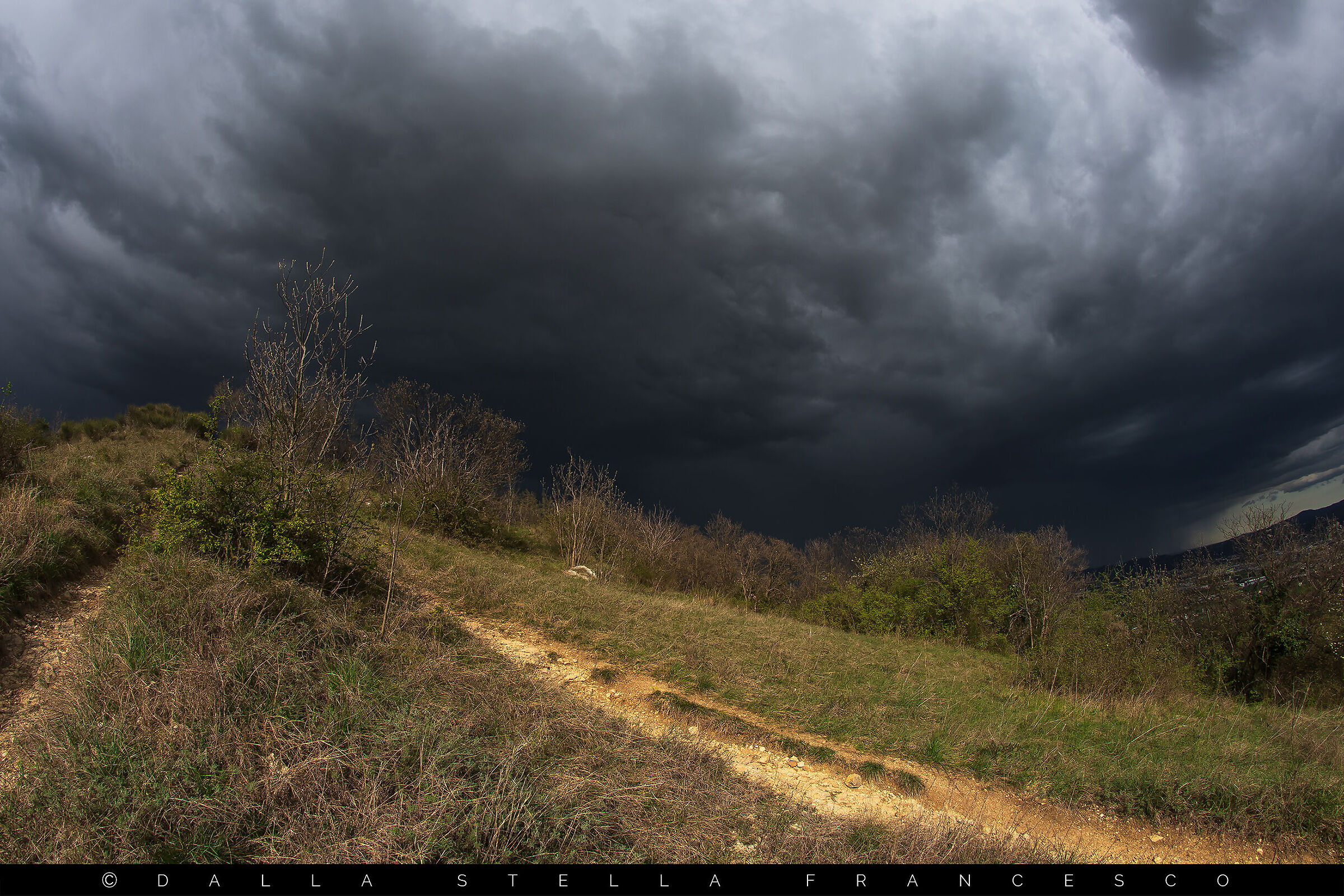 Between light and darkness