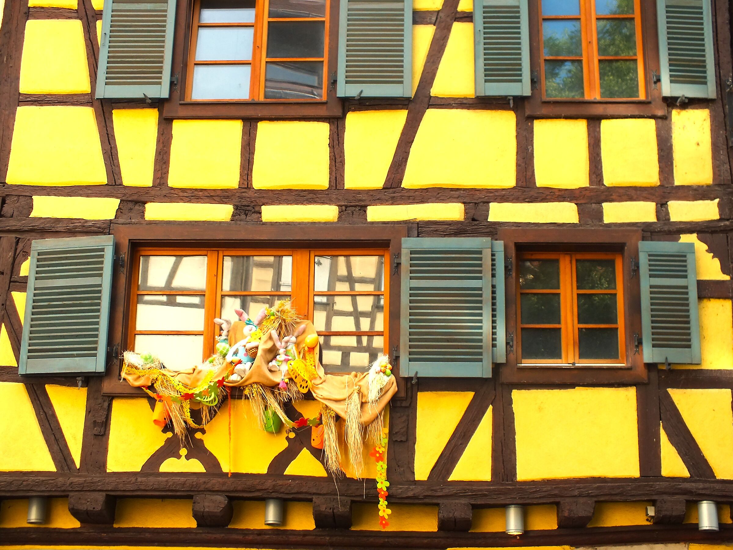 Alsace6