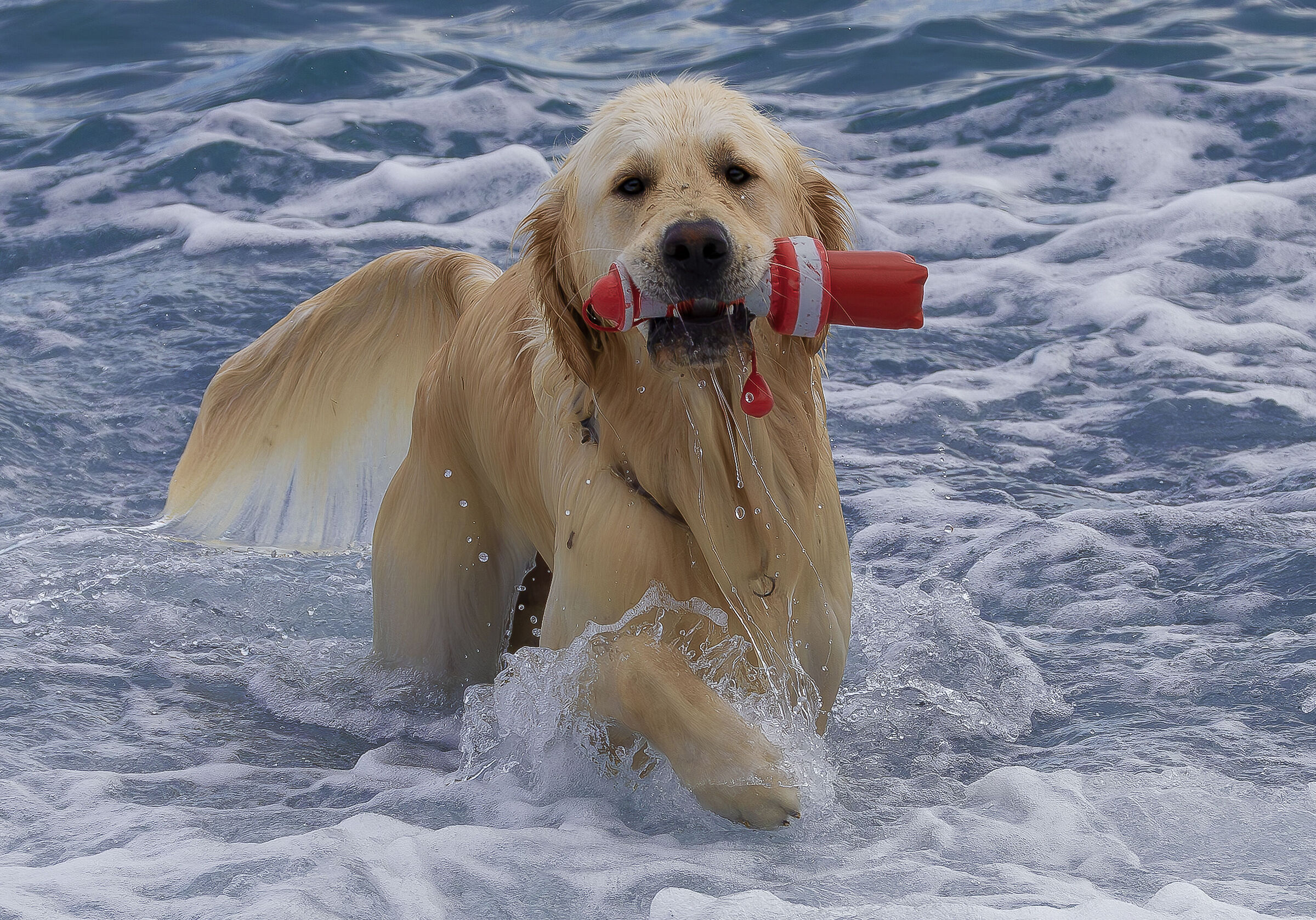 Now I understand what happens to a Mop....