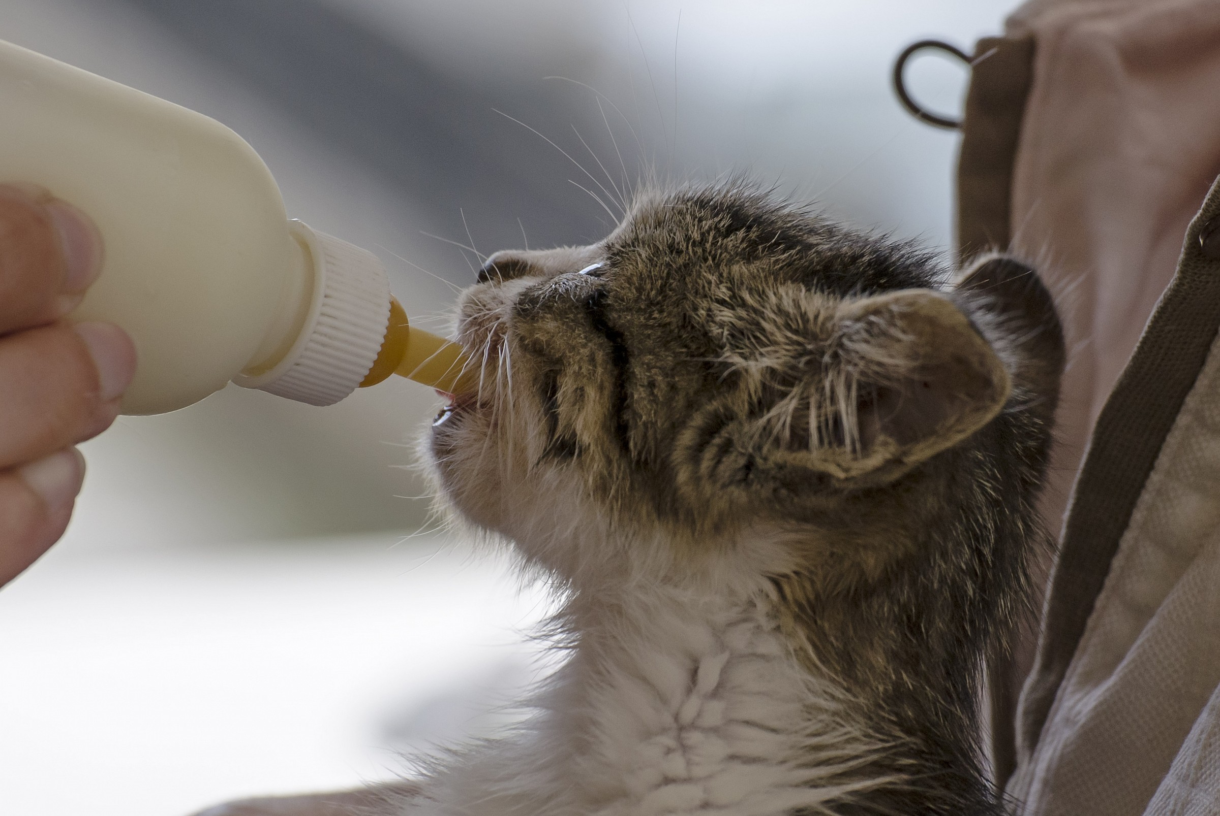 La Betty con Pallina