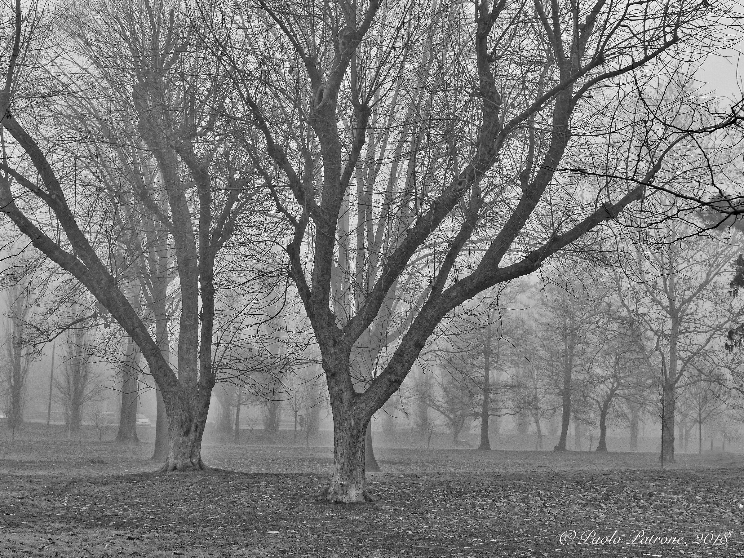 spettatori silenti umane vicende