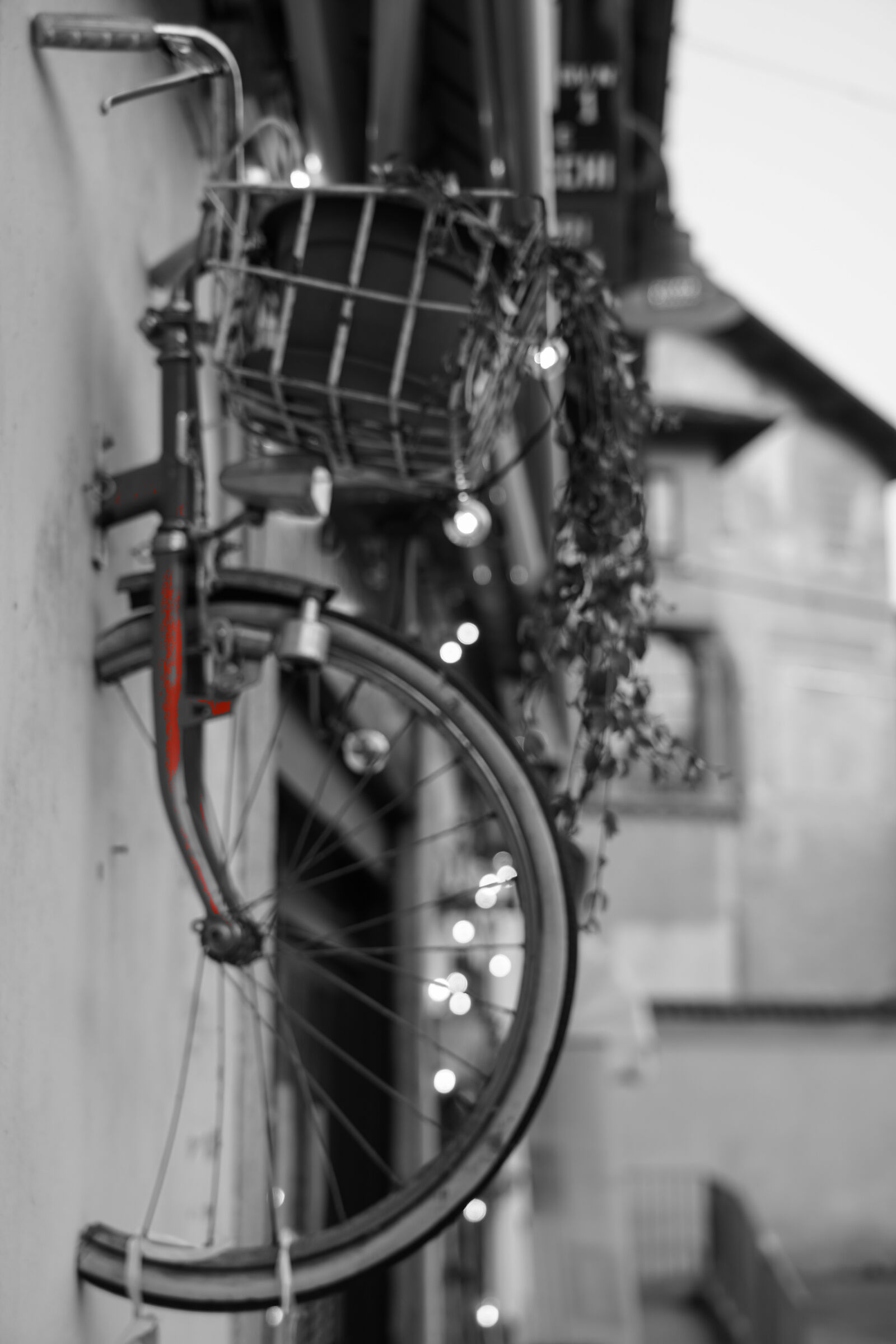 Quando si dice "appendere" la bici al chiodo!!