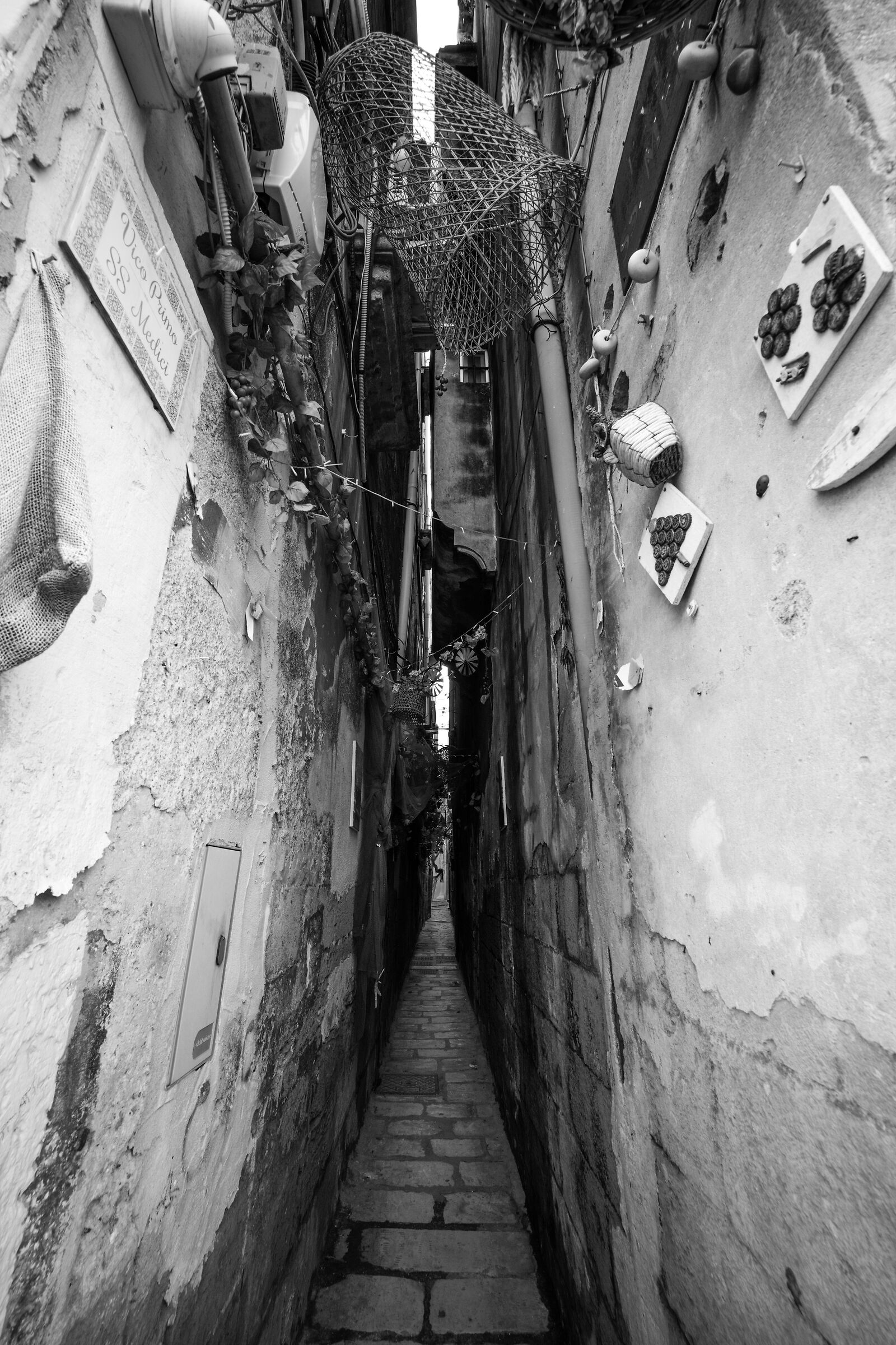 Vico Primo SS Medici