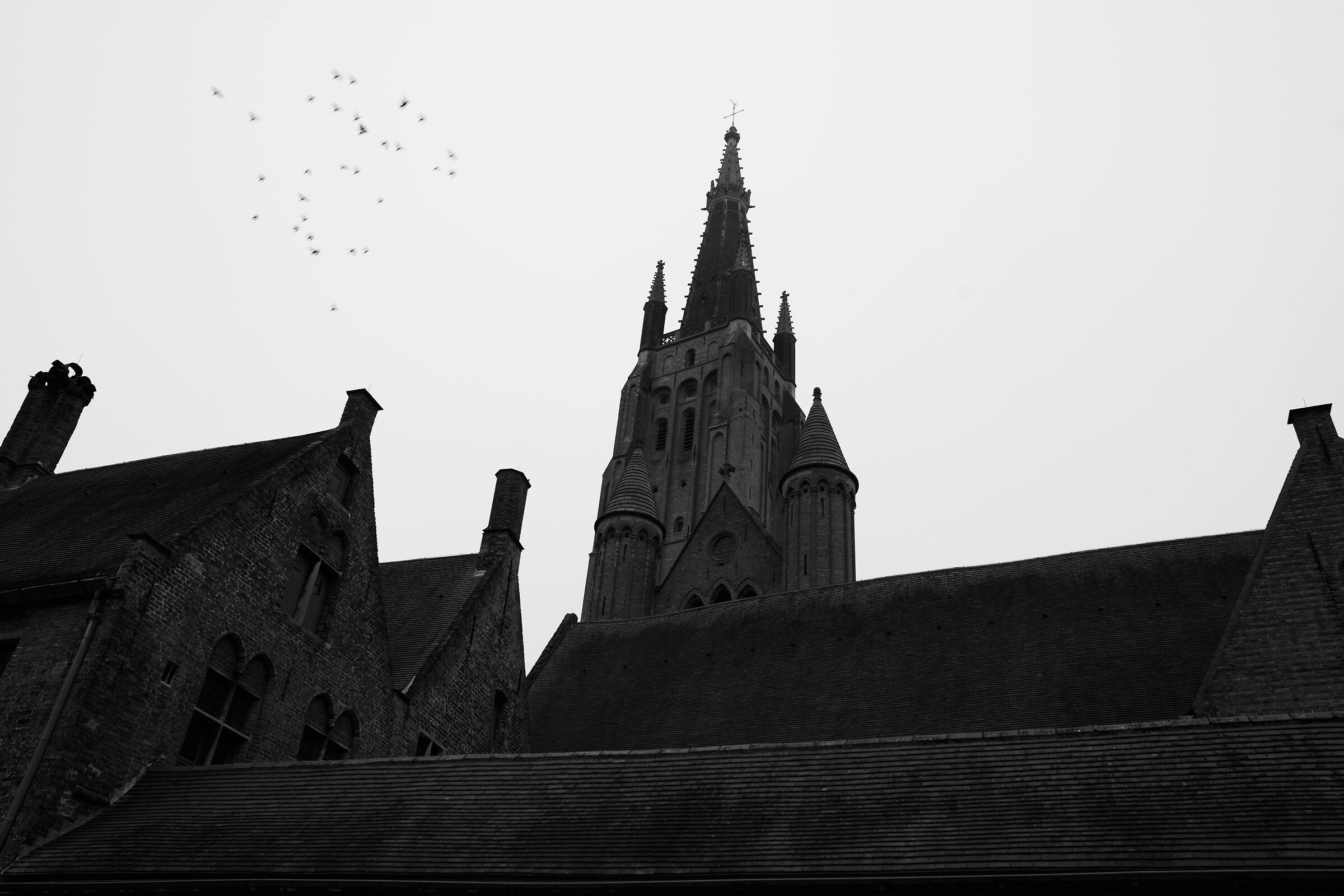 Belgio Brugge 2025-3