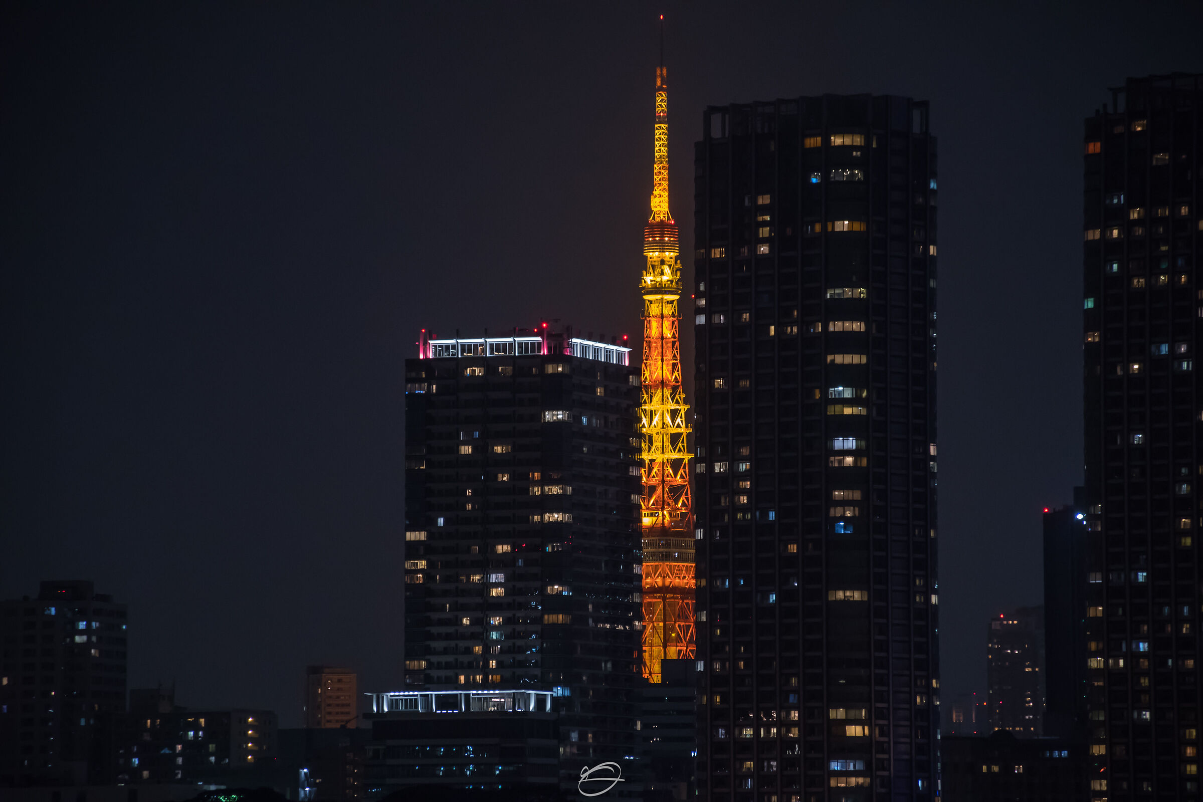 Tokyo by Night
