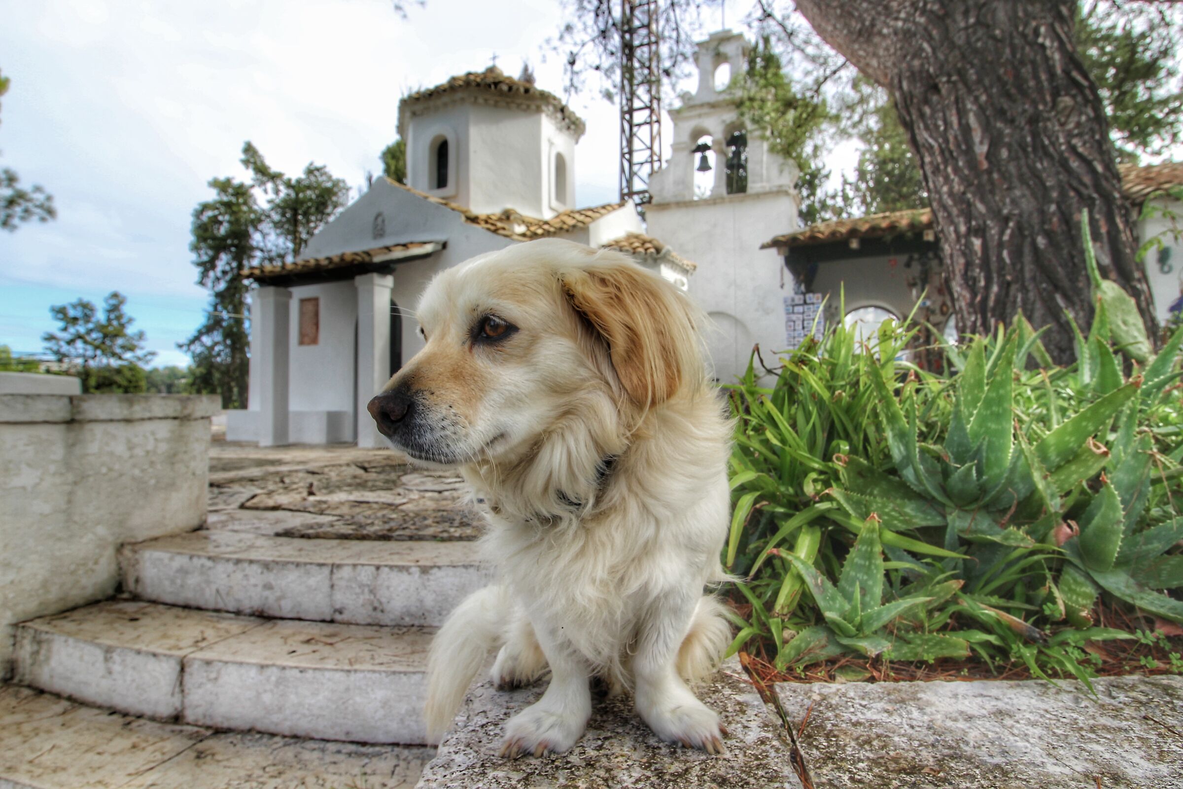 Il guardiano del monastero