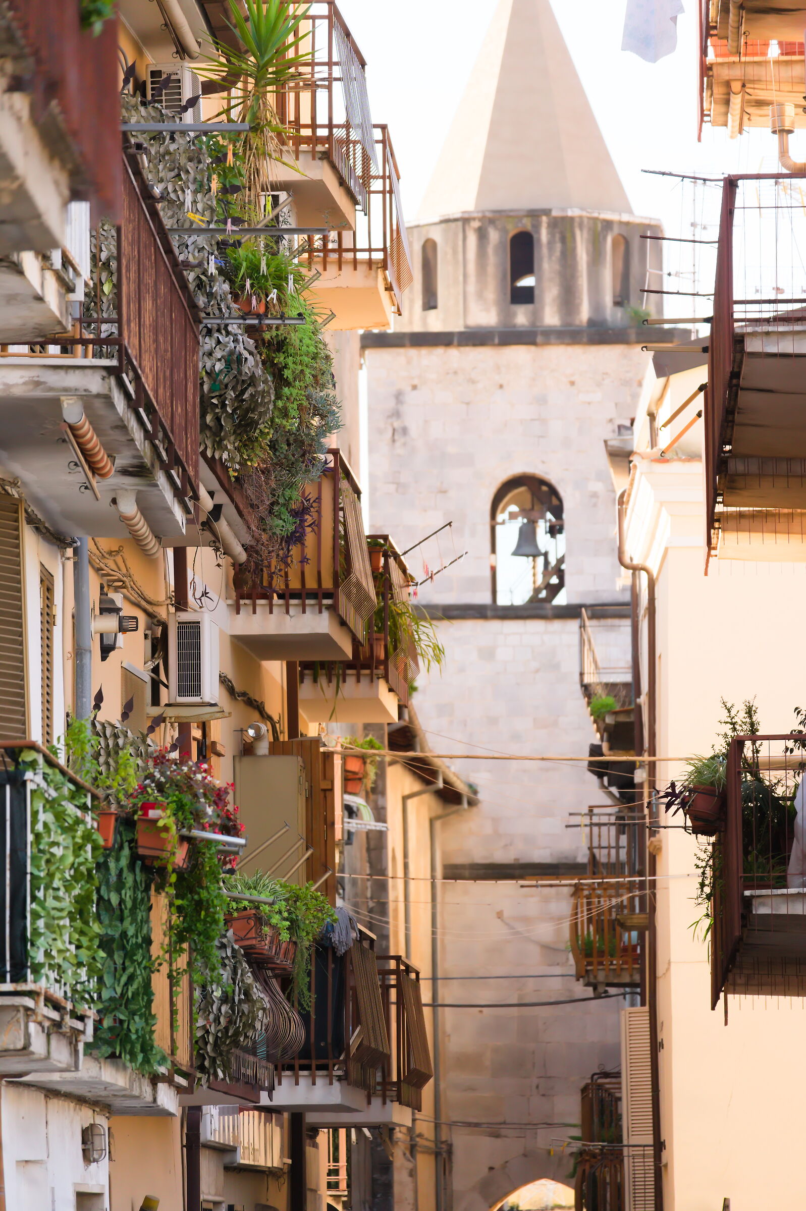 Fondi