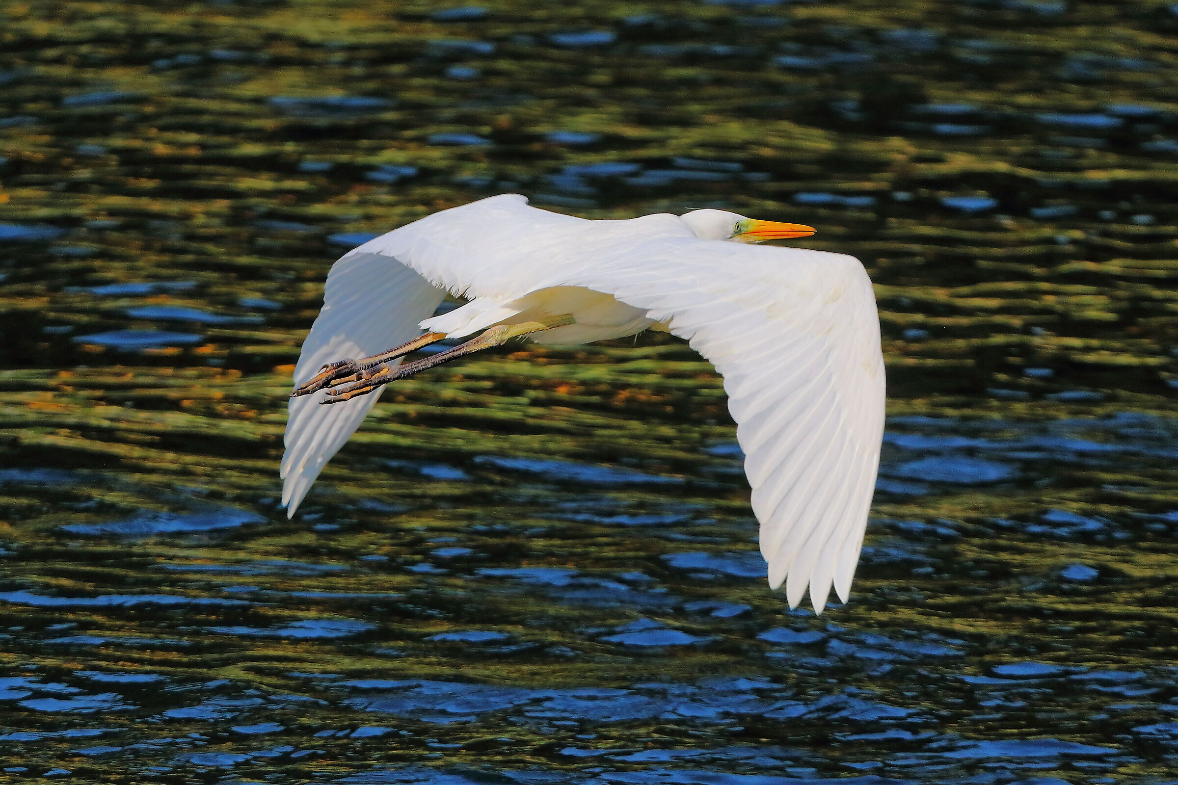 ABM 13 agosto 2025 - 0058