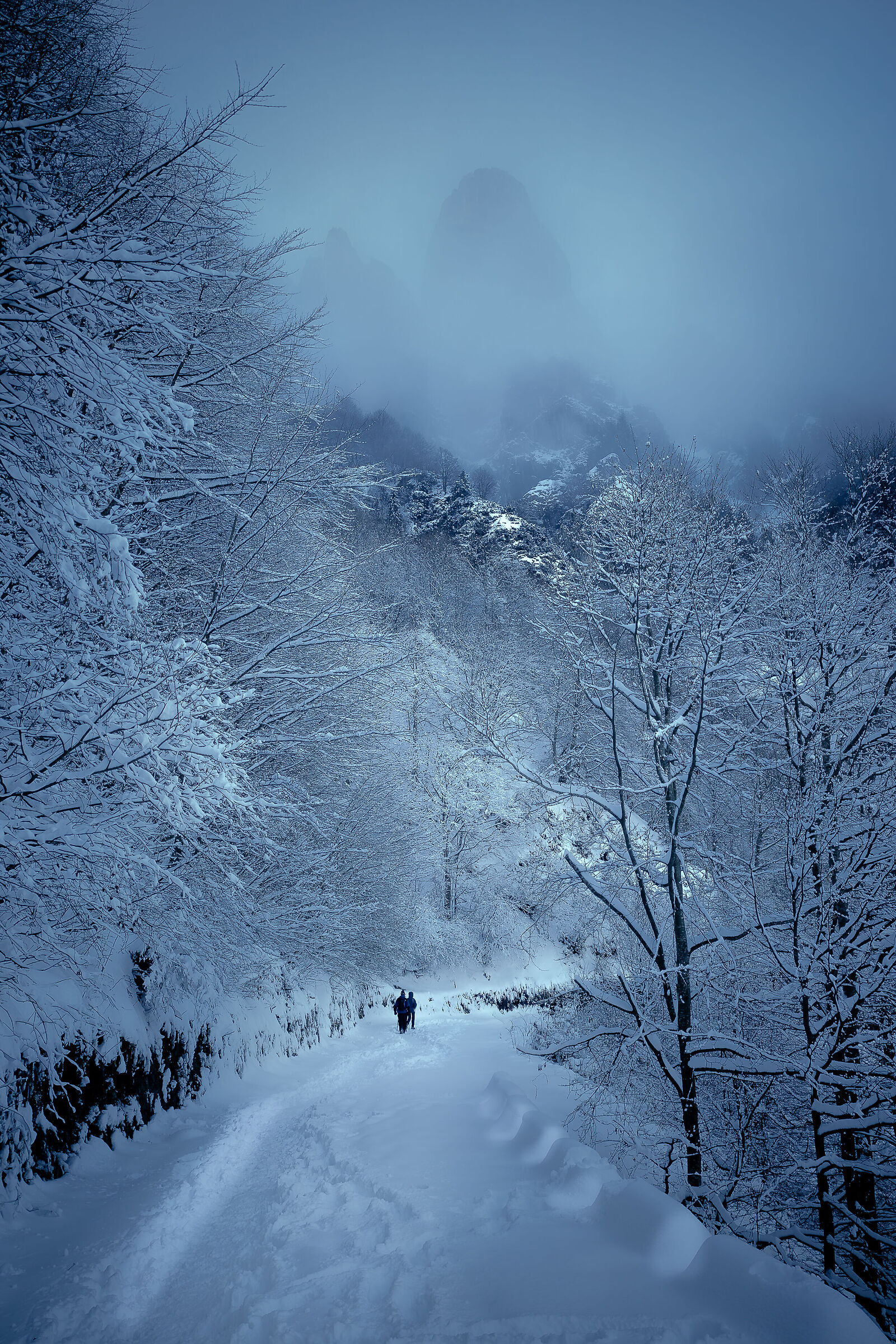Sentiero Piccole Dolomiti